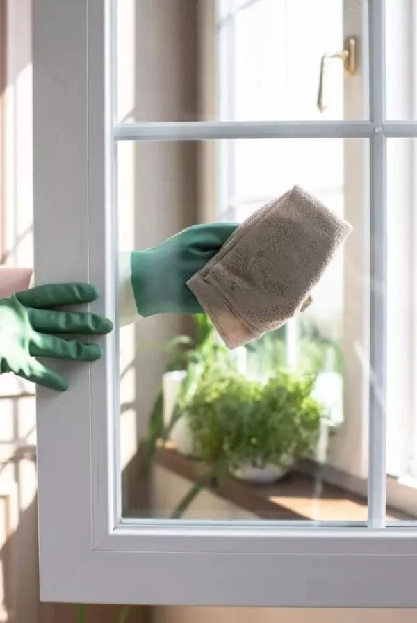 Person cleaning a window with a cloth, wearing green gloves, with a potted plant visible outside.