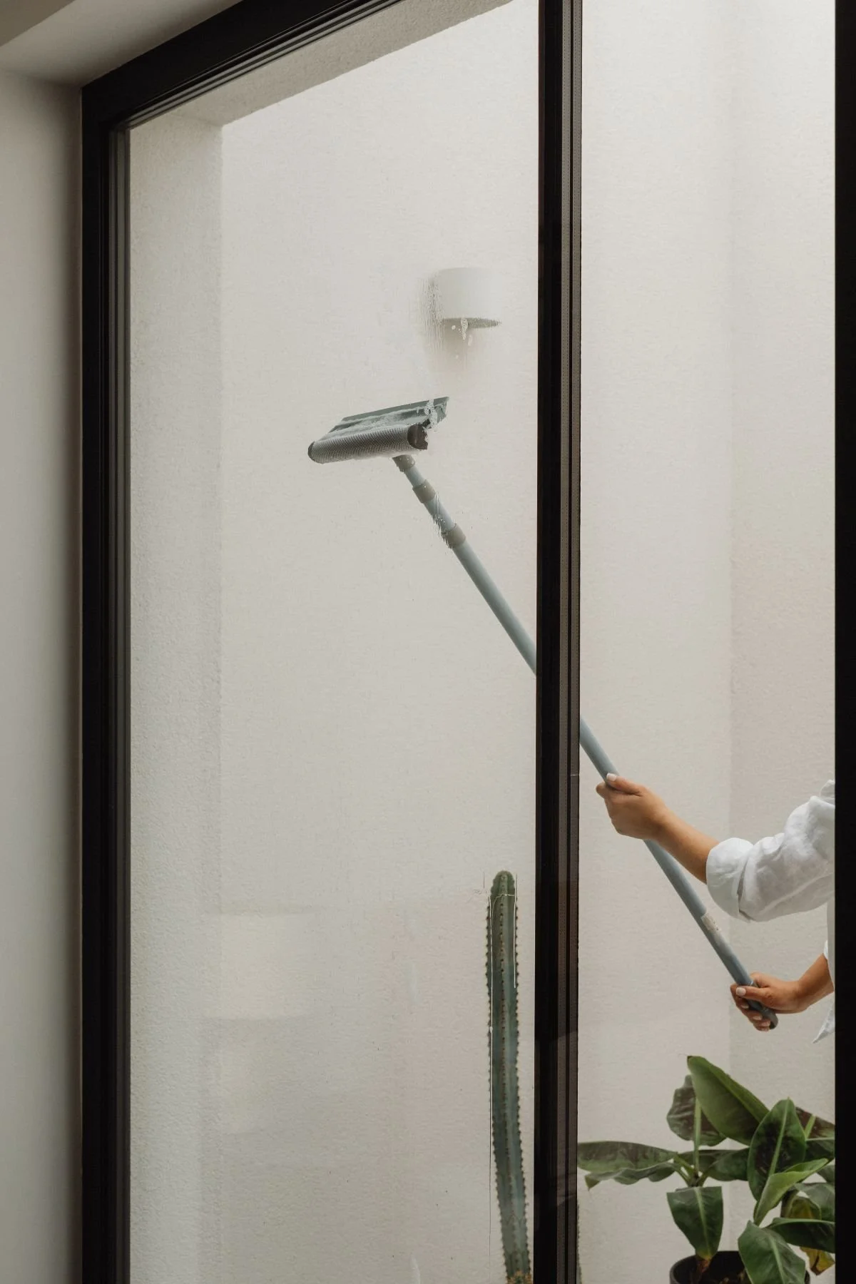 Person cleaning a glass window with a long-handled squeegee, with a cactus plant in a pot near the window.