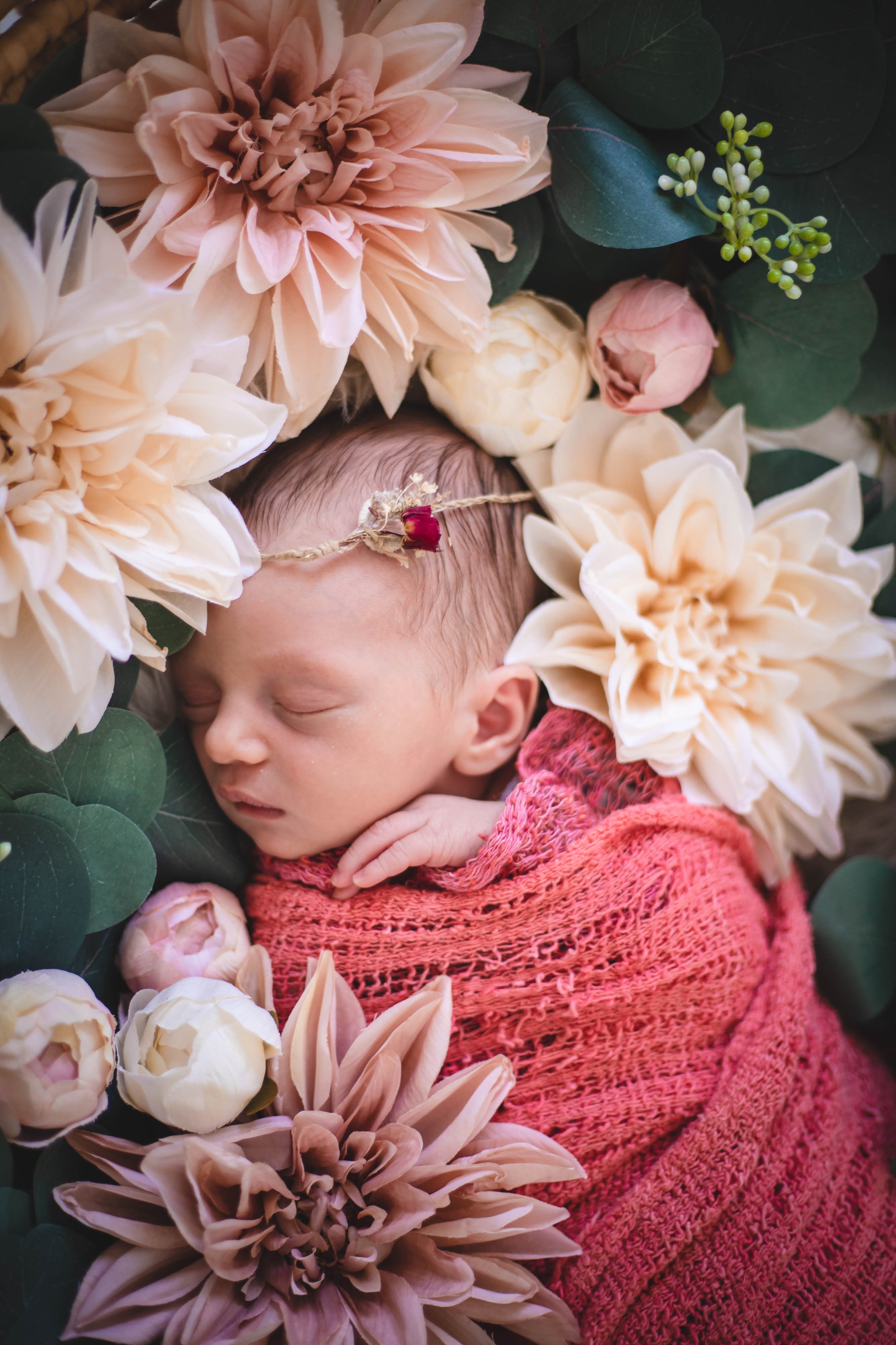 Newborn Photos