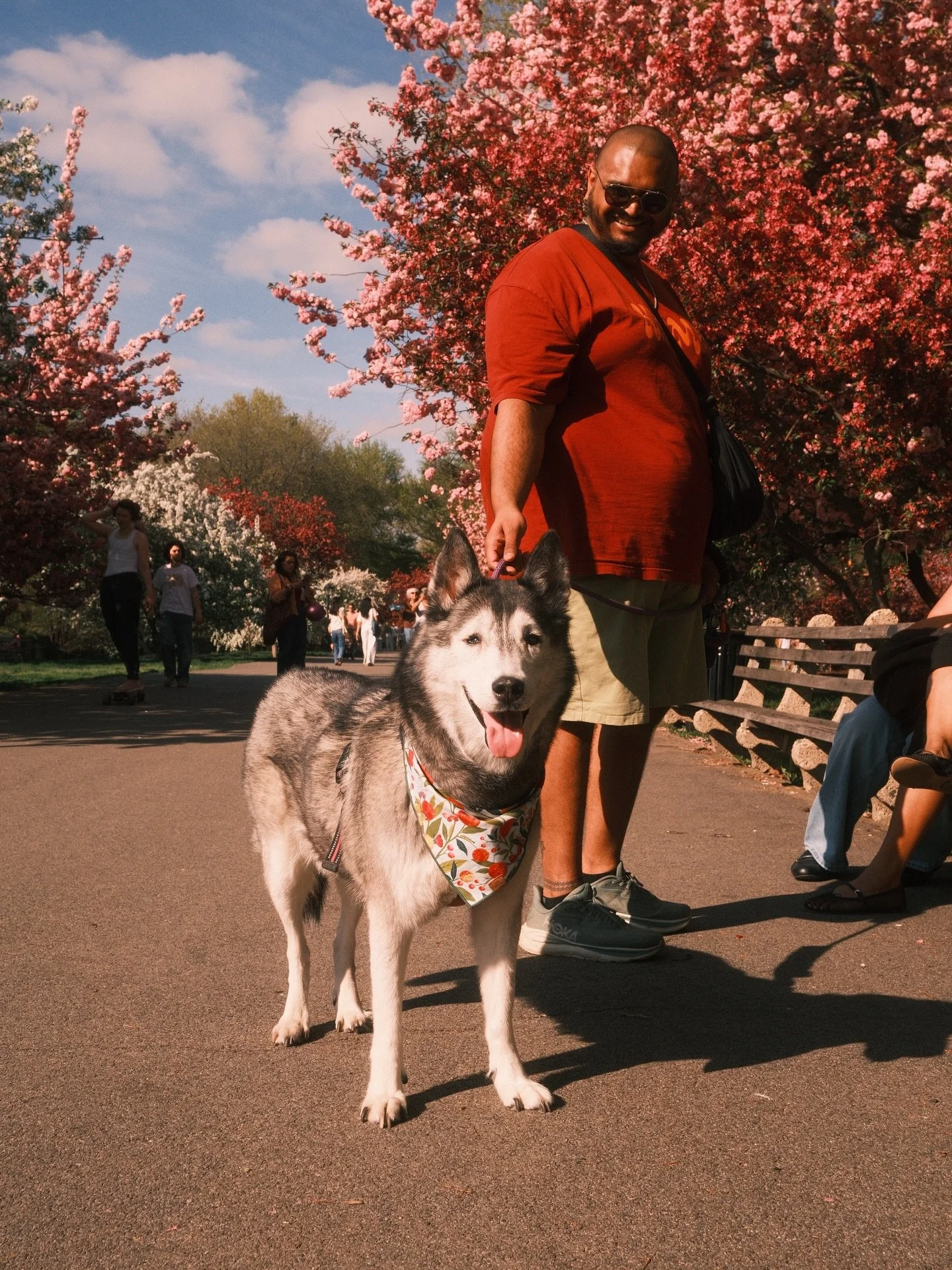 My favorite thing in the world is seeing happy dogs with loving owners. If you want free photos of your dog feel free to message and ask me. I want to make sure you have good photos to look back on. If you have a foster dog and would like photos to h