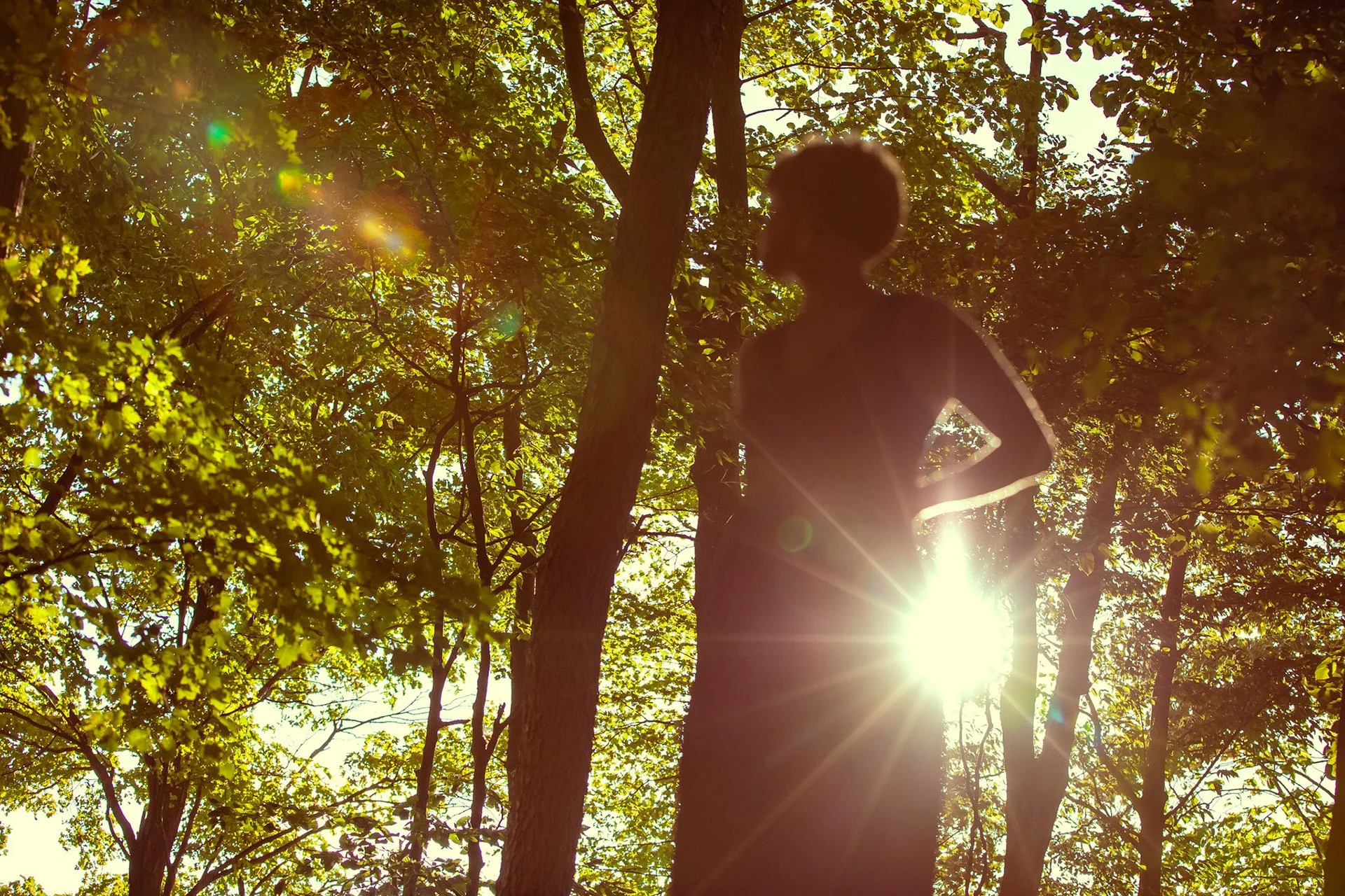 A person standing outdoors among trees with sunlight shining through the leaves, creating lens flare and a silhouette effect.