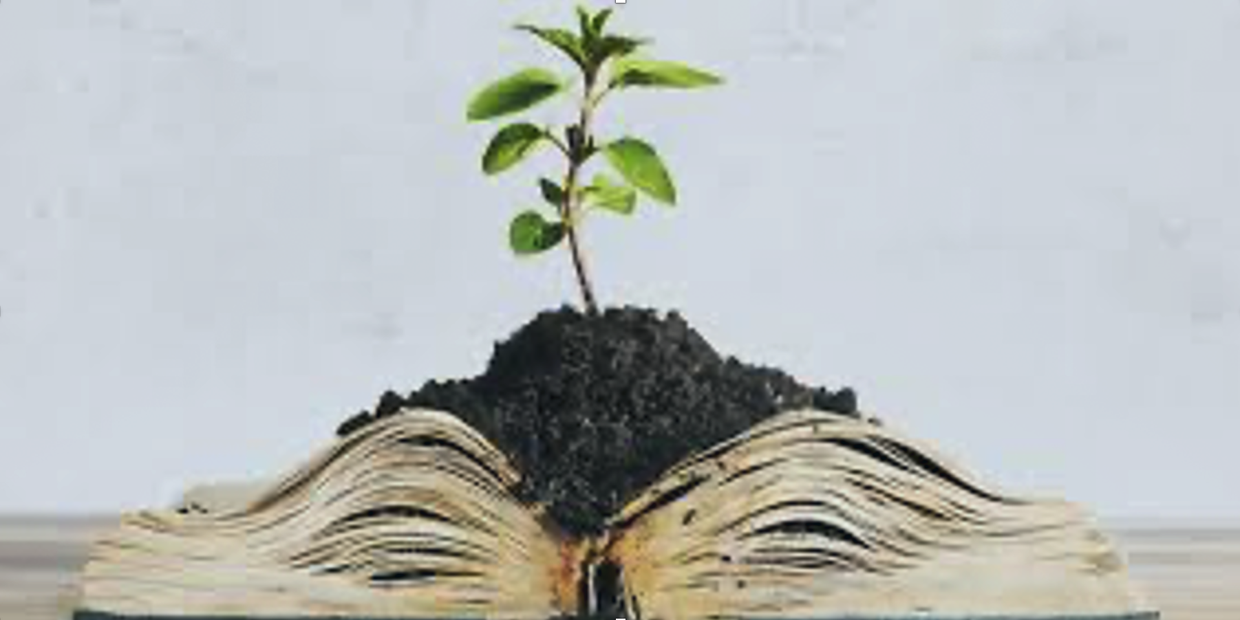 Trauma informed therapy and counselling