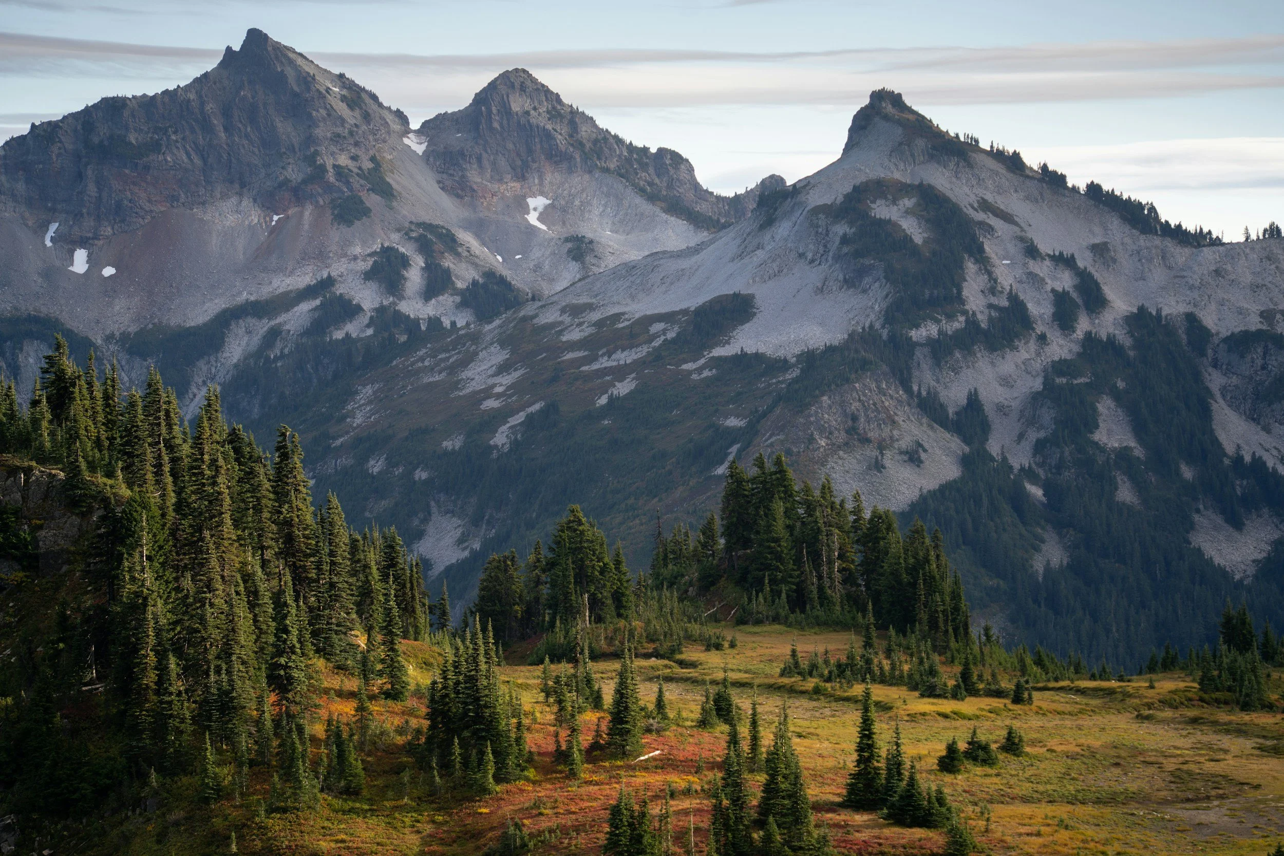 A scenic mountain landscape with rugged peaks, pine trees in the foreground, and a partly cloudy sky.