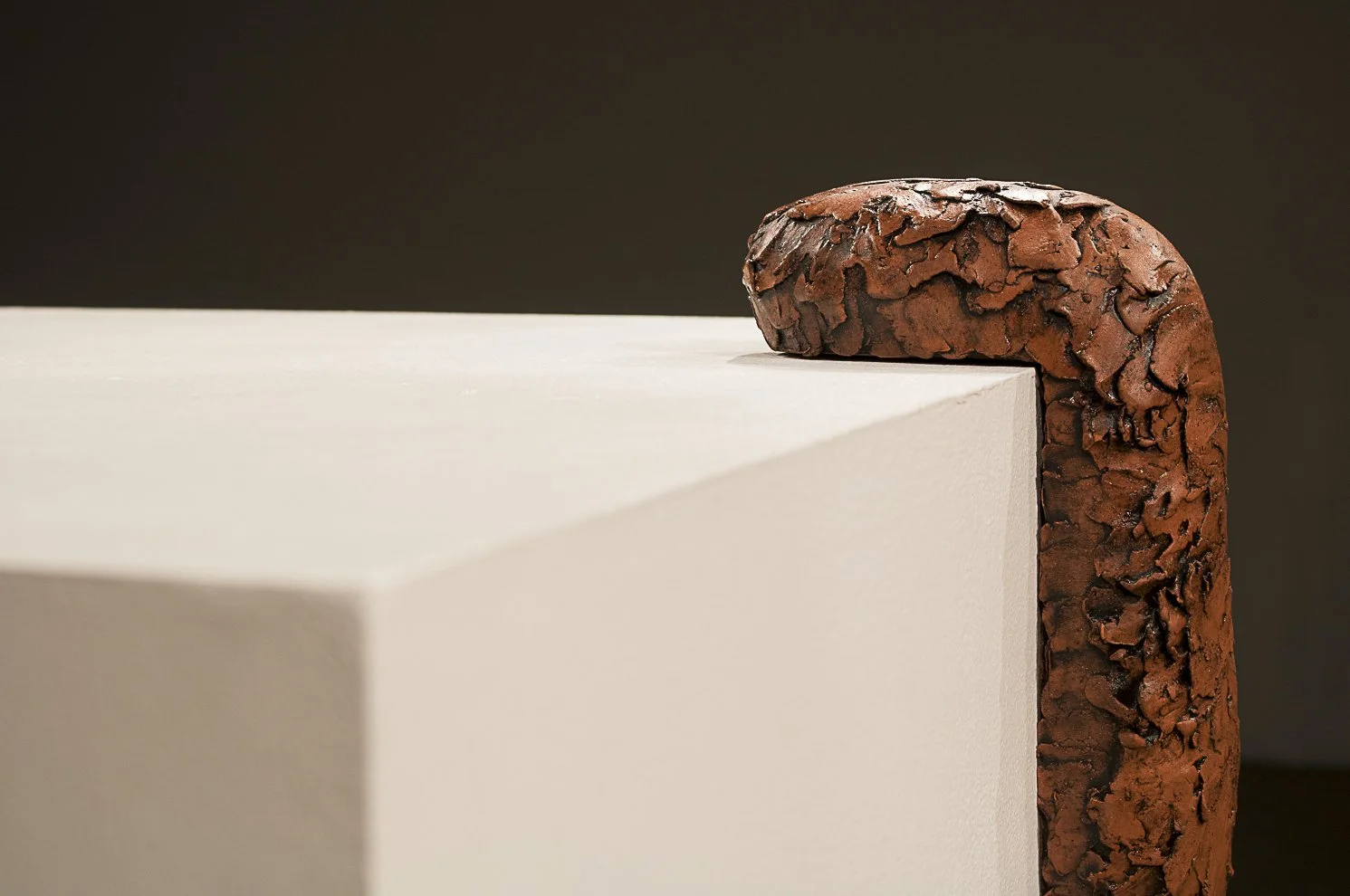 Detail shot from Outbreak, 2025.