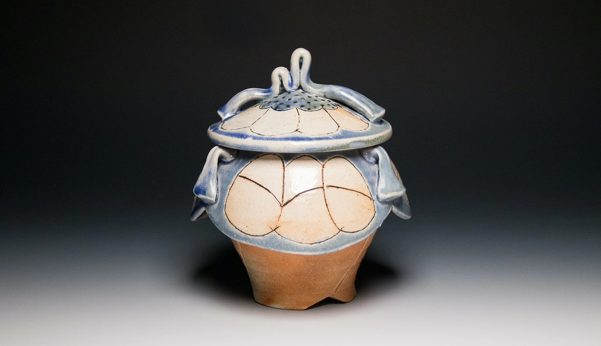 Cicada Jar #2, stoneware, black slip, wood-fired, 2026, (6 x 6 x 8 in), 2024.