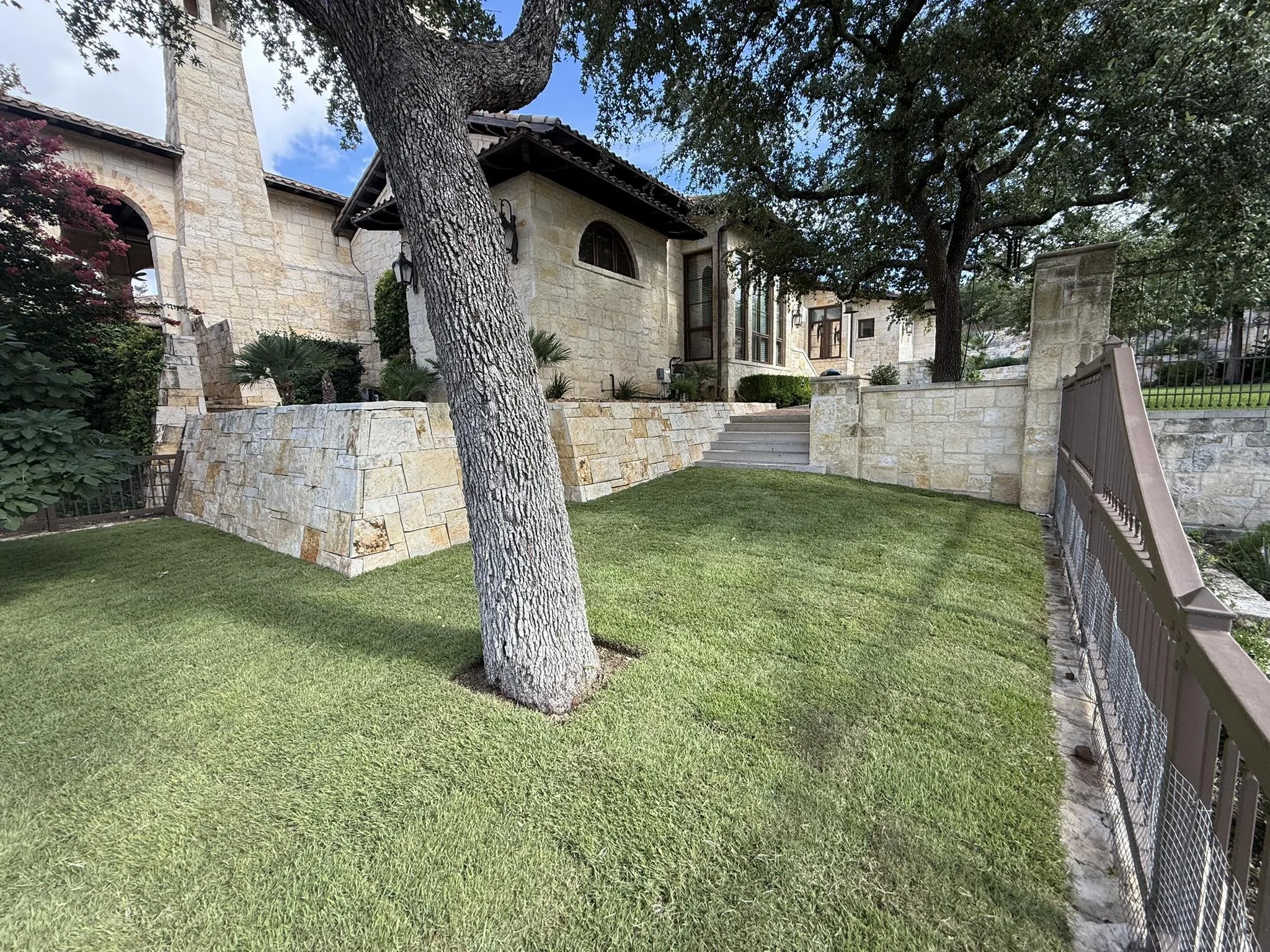 Front yard of a stone house with a large tree in the foreground, a manicured lawn, and a stone staircase leading to the house entrance.
