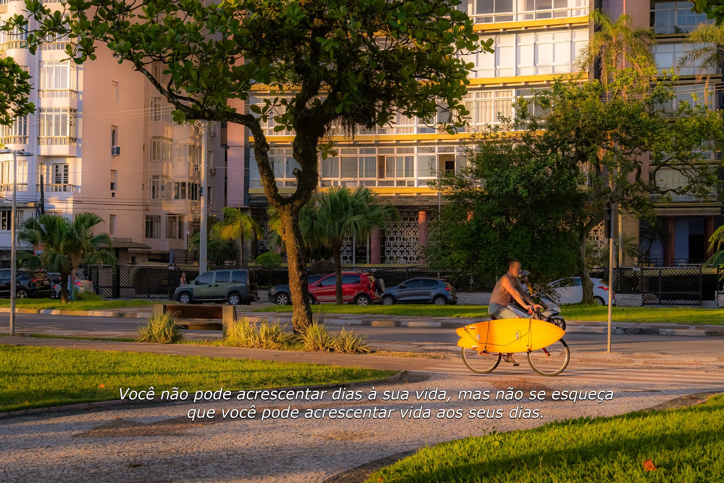 DSC01089 - Prancha.jpg