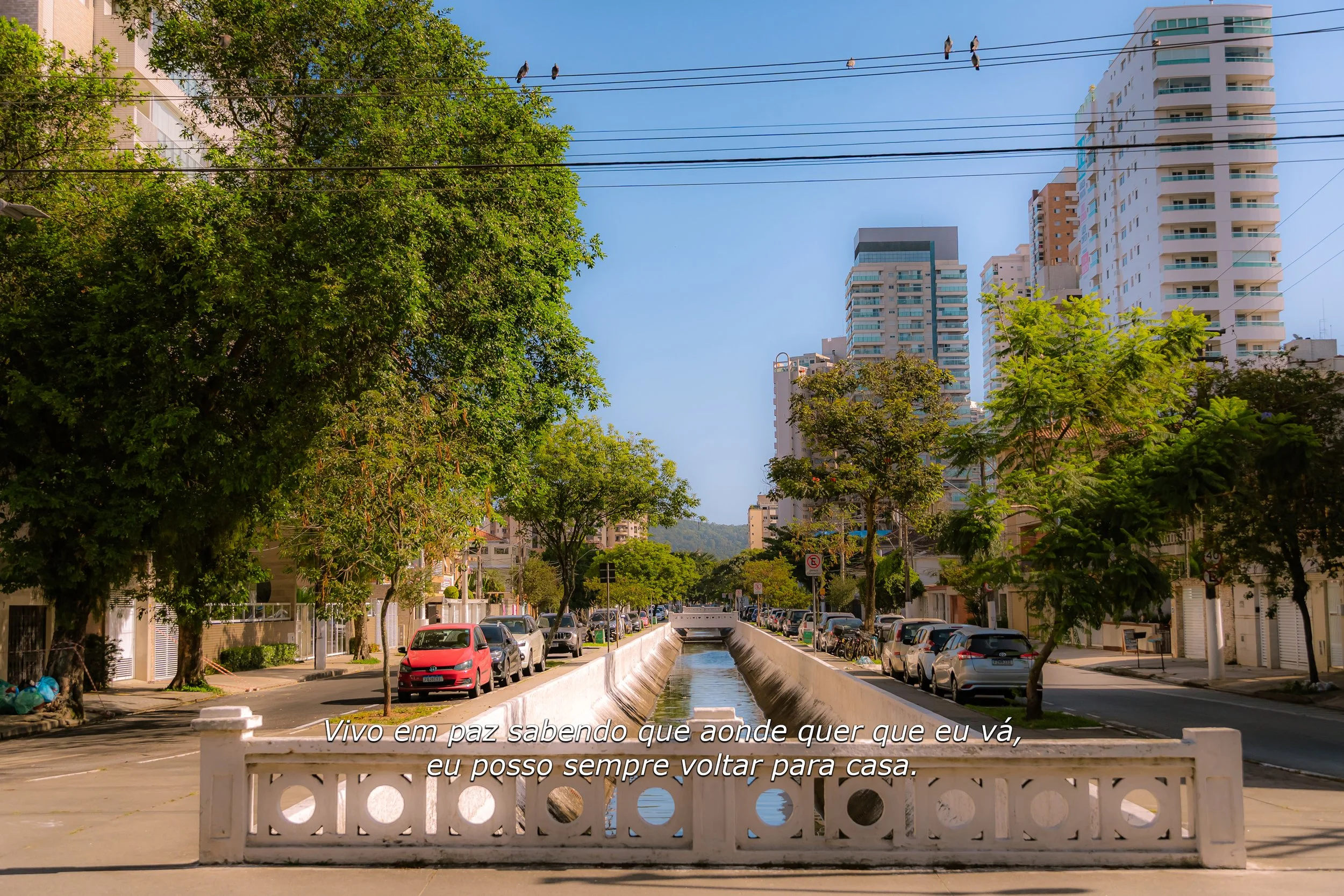 DSC01156 - Canal 7.jpg