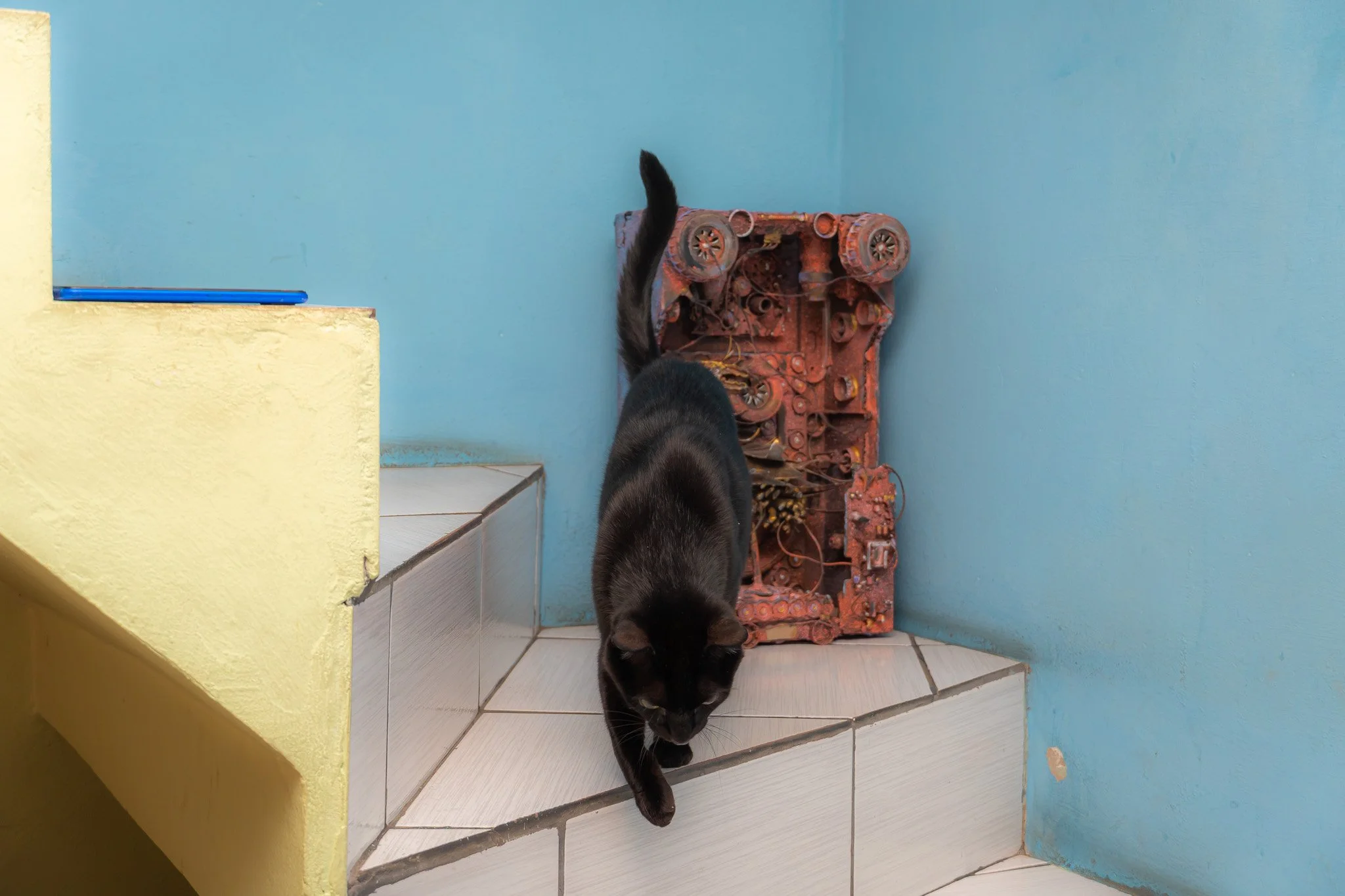 DSC00487.jpg