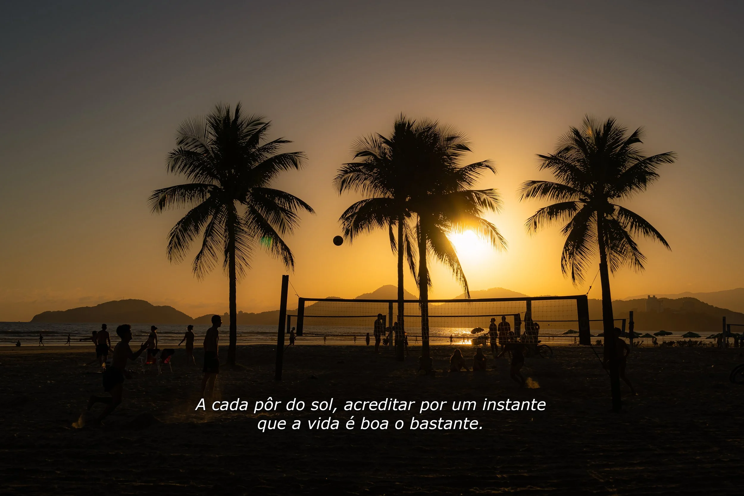 DSC01090 - Coqueiros.jpg