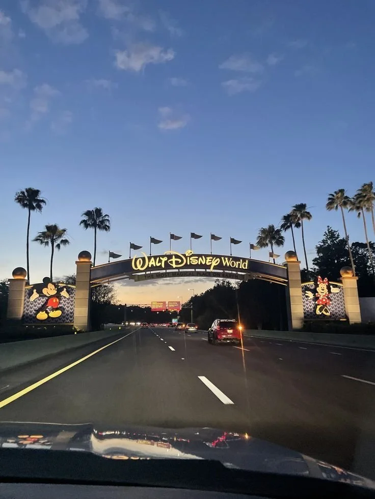 Entrance sign to Walt Disney World with Mickey Mouse and Minnie Mouse images, palm trees, and flags at sunset.