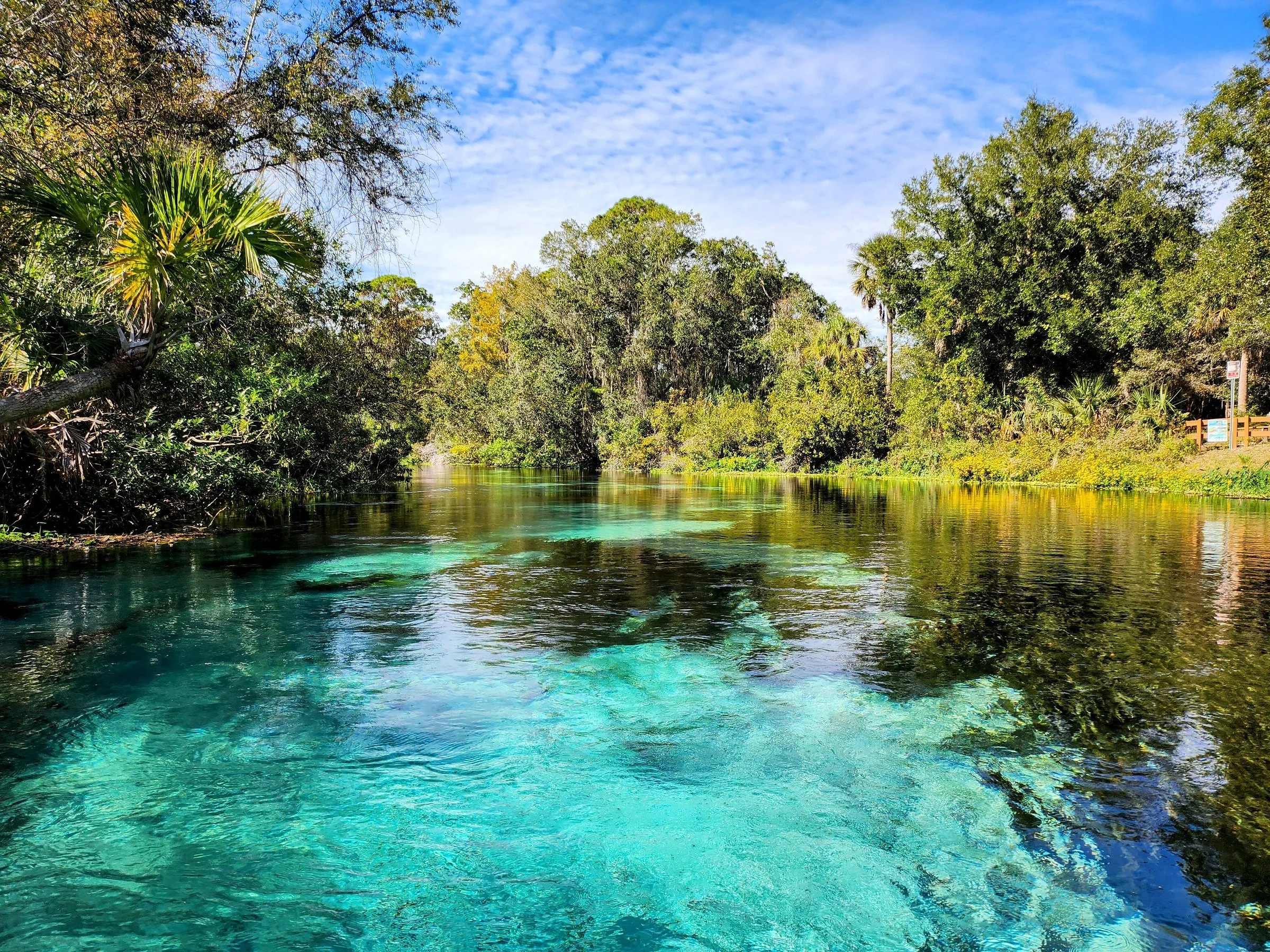 A scenic view of a river surrounded by lush green trees under a partly cloudy blue sky.