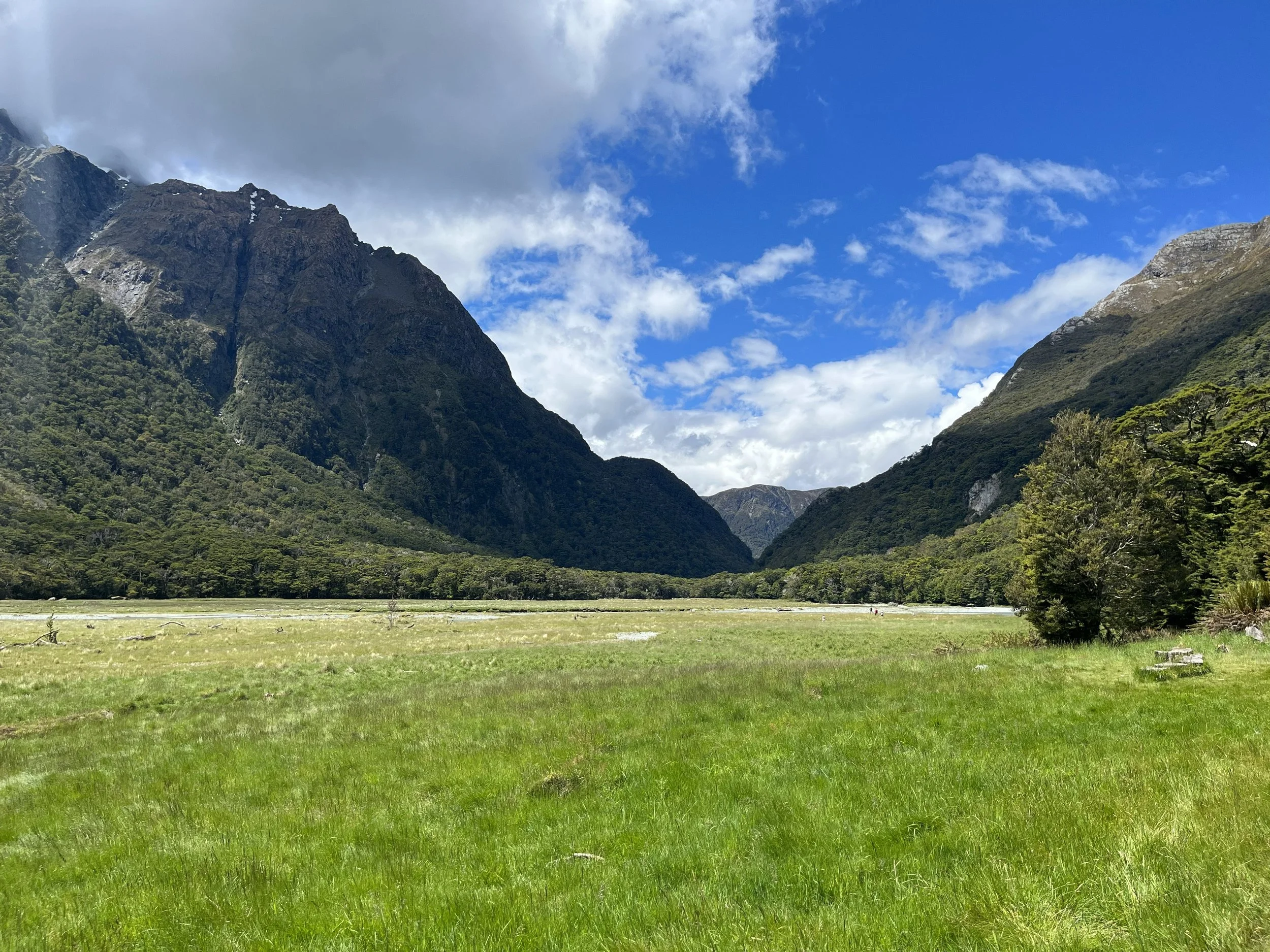Routeburn, The Flats 