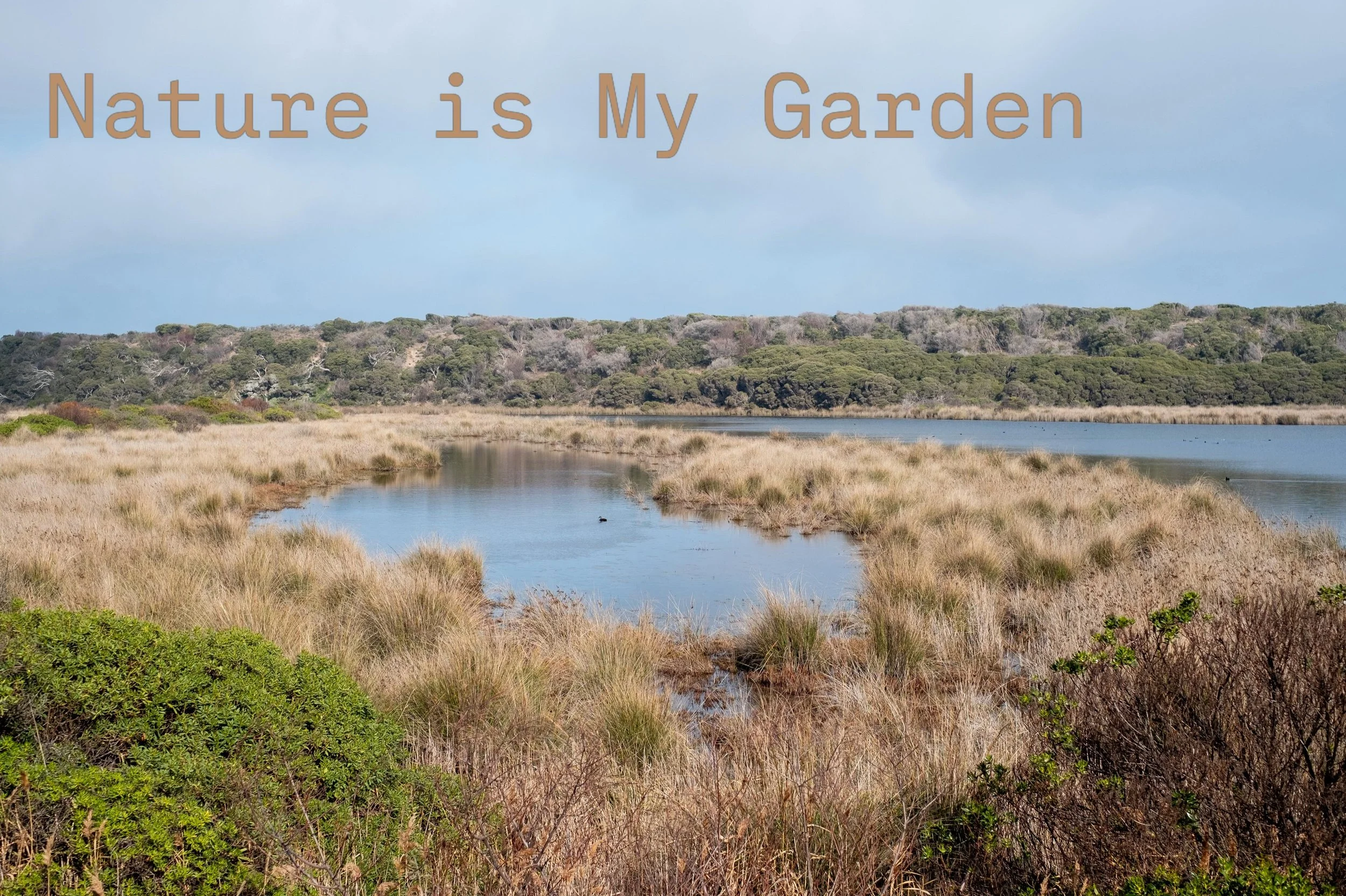 Nature is My Garden &ndash; stories from the Nature recovery movement is a collaboration between a lawyer and gardener from Australia.  We tell hopeful stories of the Nature recovery movement in Australia and internationally. #painkalac 📸 @yukspace