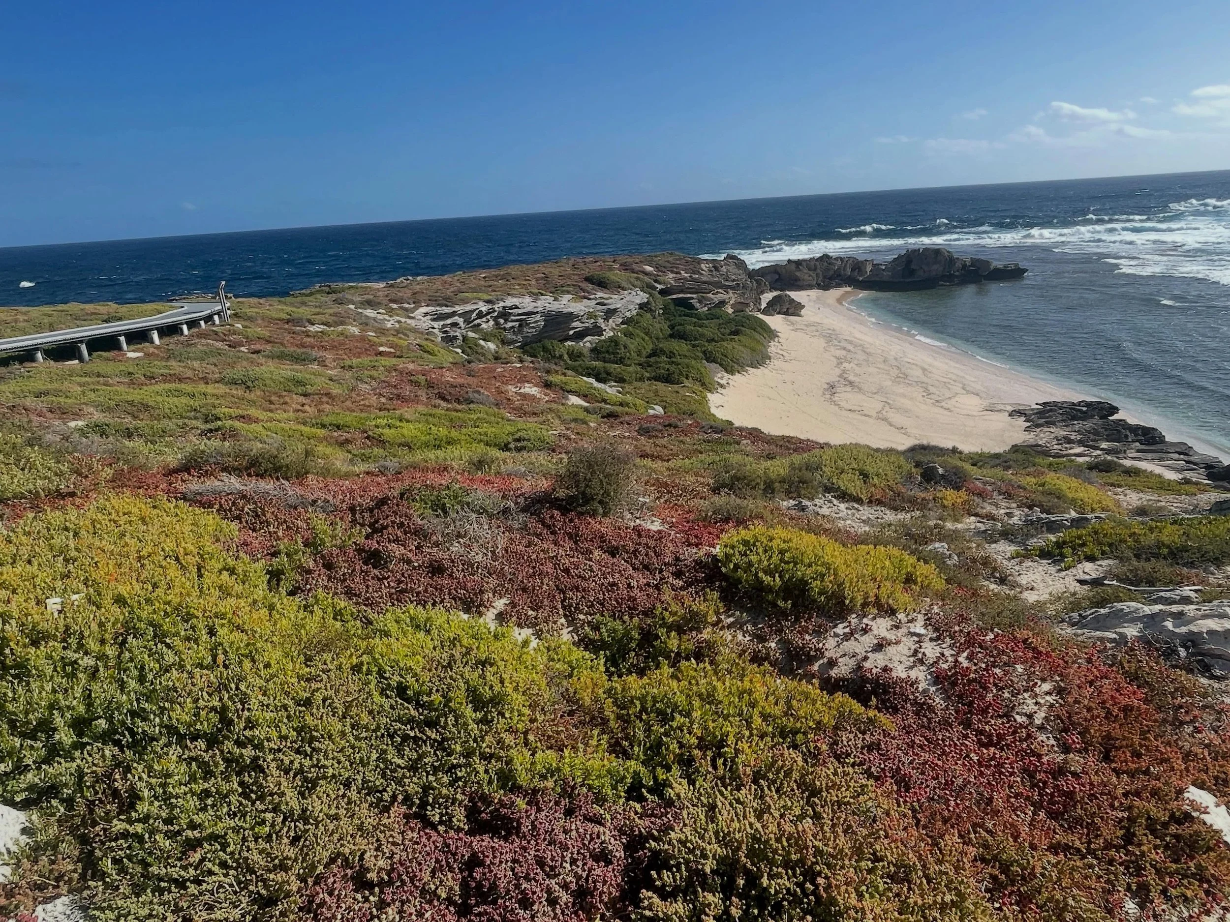 Nature is a garden where the elements shape the elements on #rottnestisland #westernaustralian