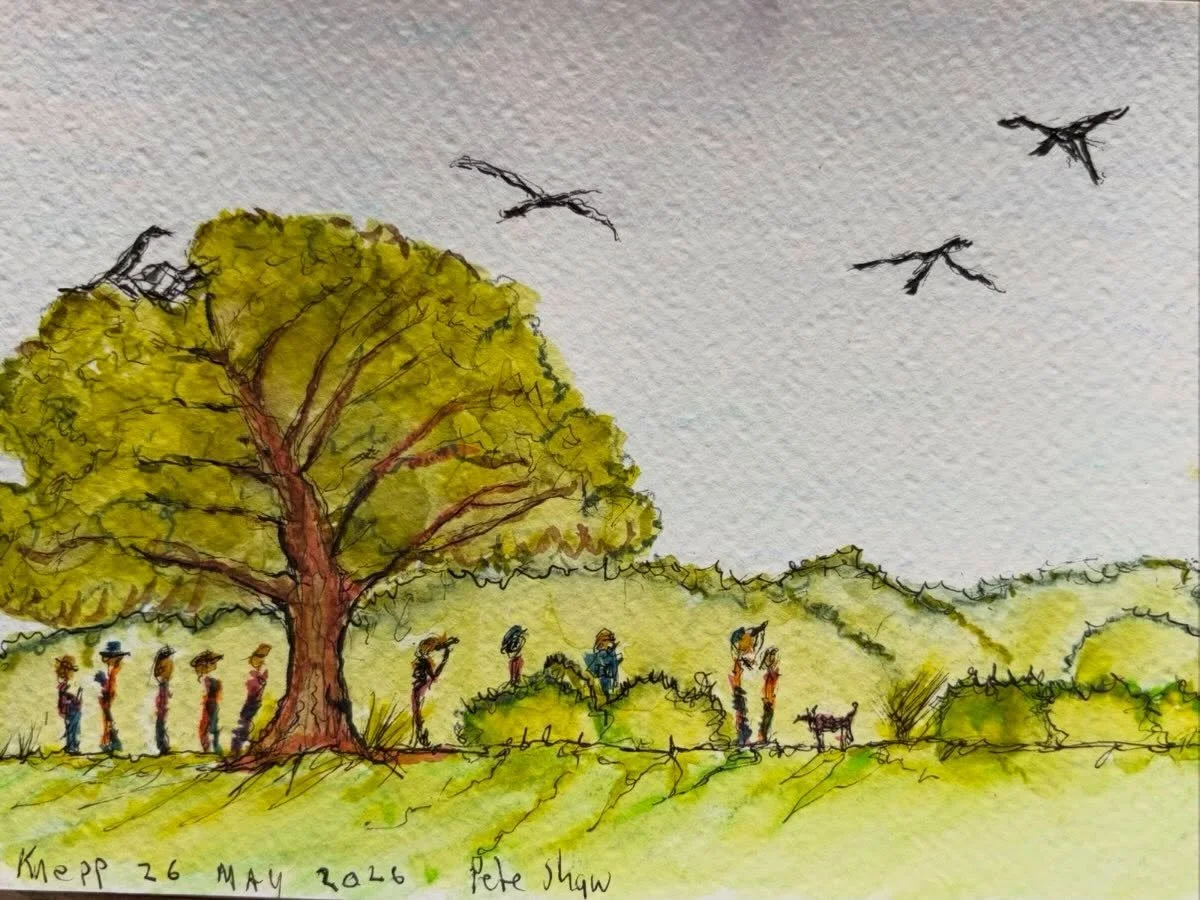 🪴The Garden &mdash; nature&rsquo;s dynamic meeting place

Knepp shows what happens when land is allowed to breathe again. Once‑strained farmland in the gentle Weald of West Sussex has transformed into a living mosaic shaped by free‑roaming cattle, p