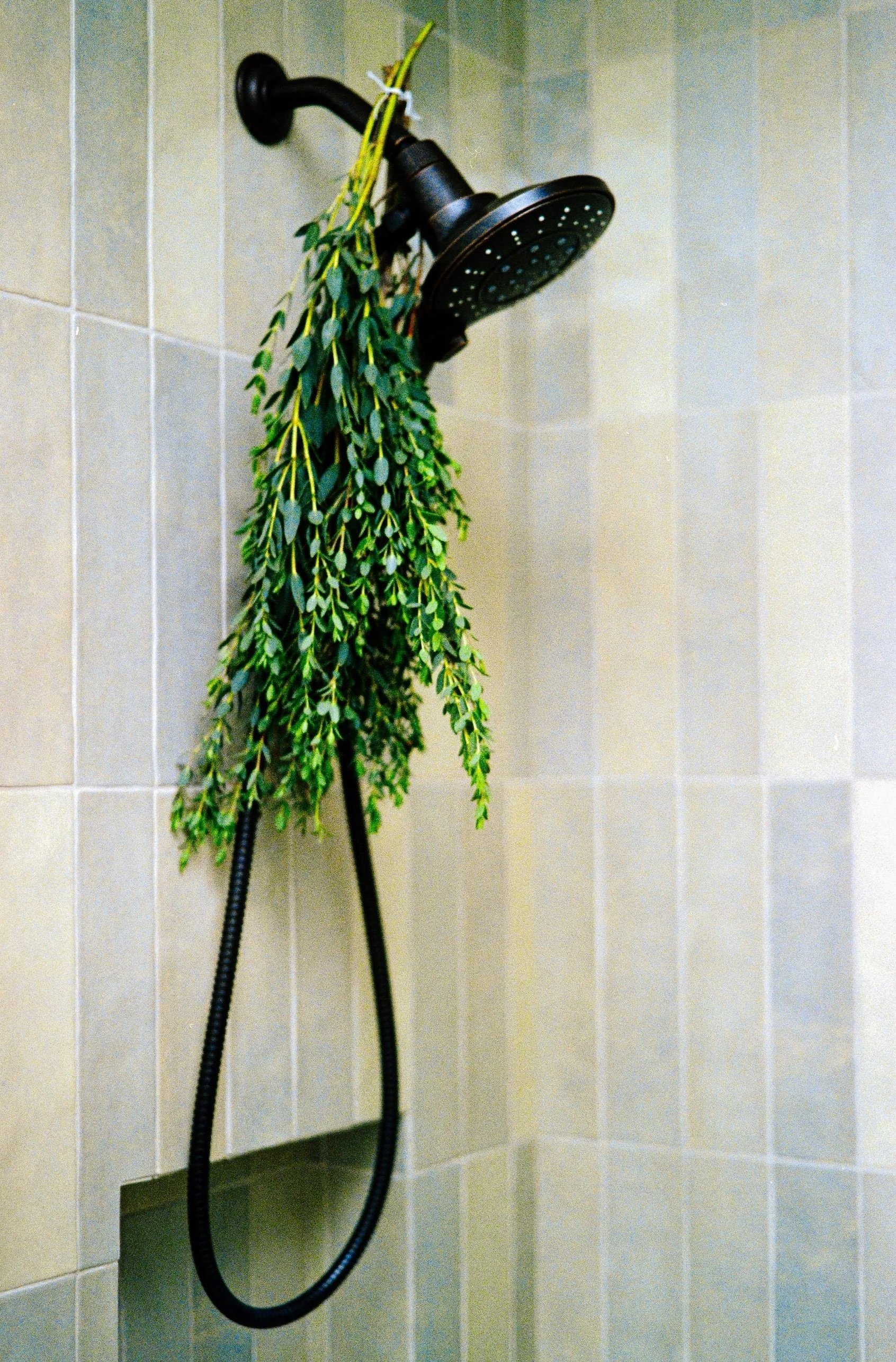 A shower head attached to a tiled bathroom wall, with some decorative green plant-like foliage hanging from it.