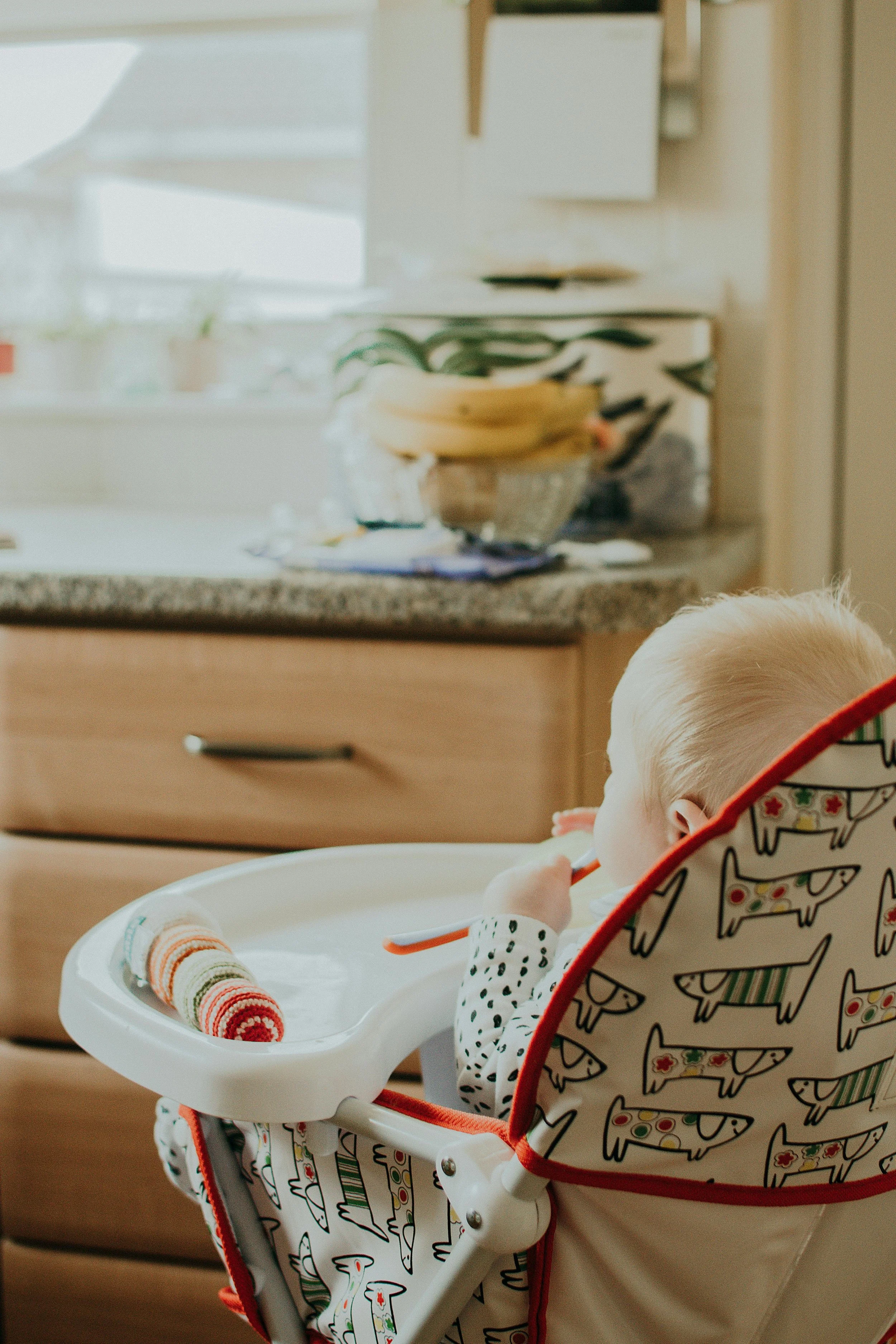 Baby Led Weaning Workshop