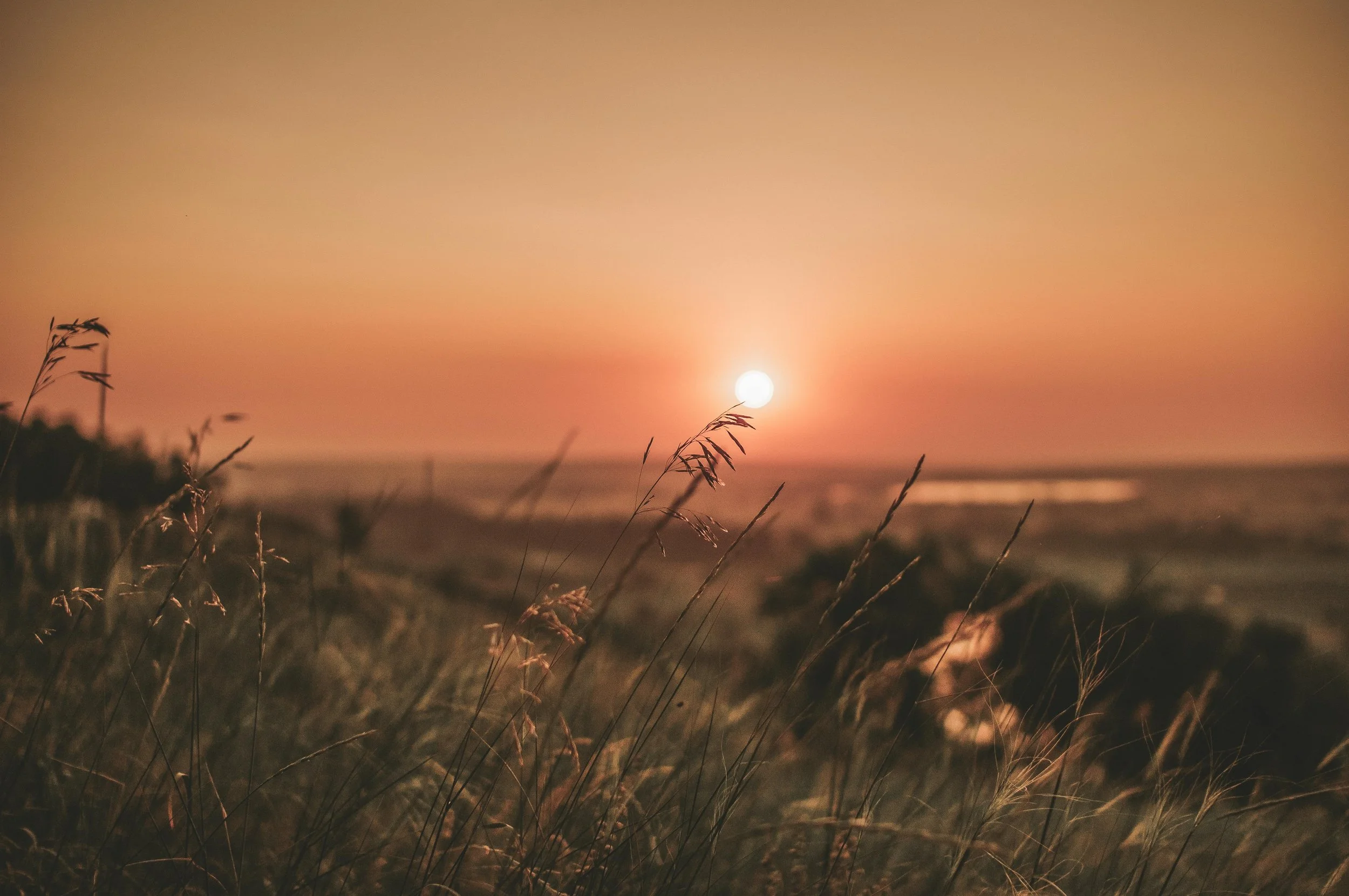 Chasing The Light