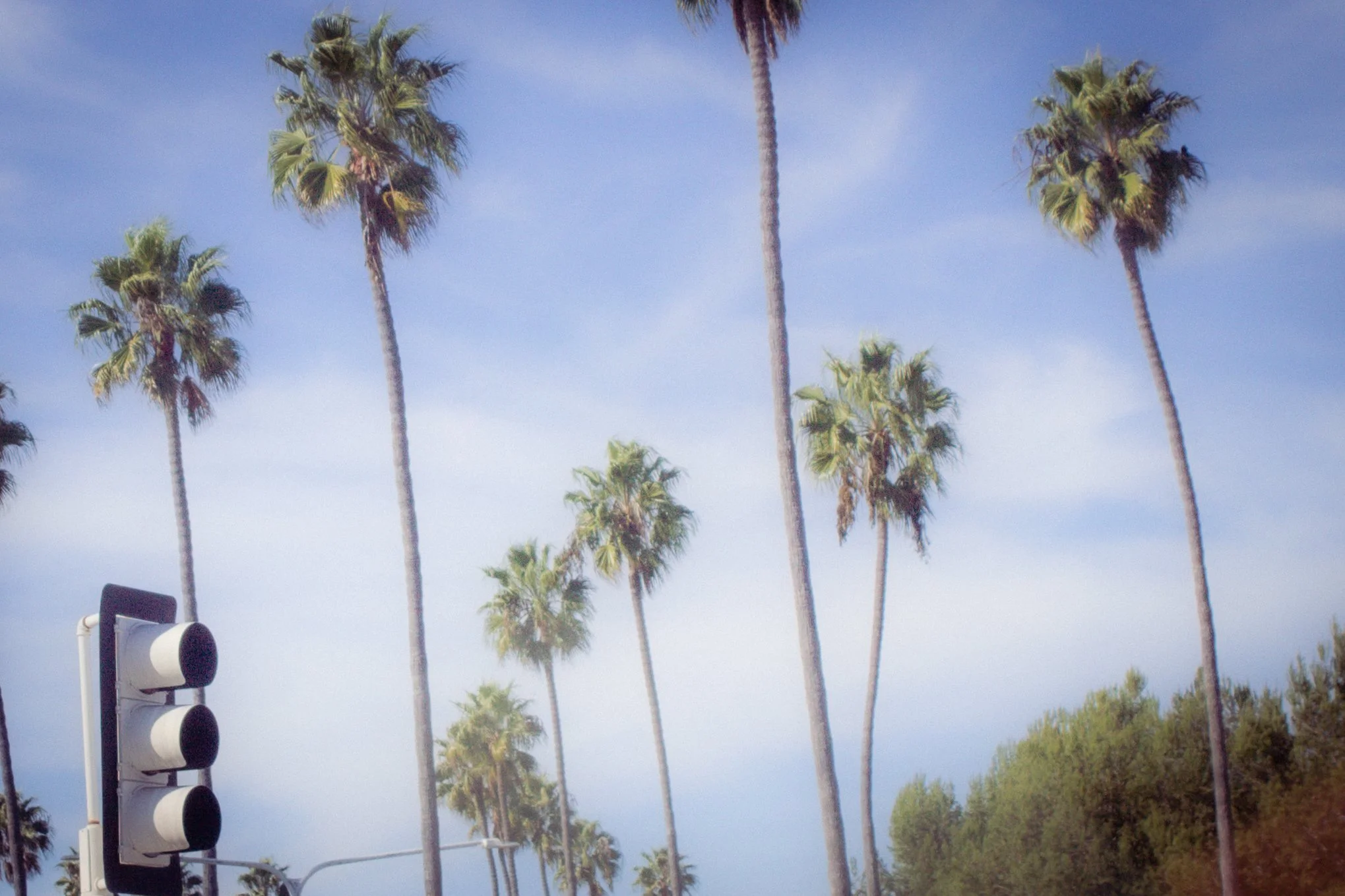 california 2024