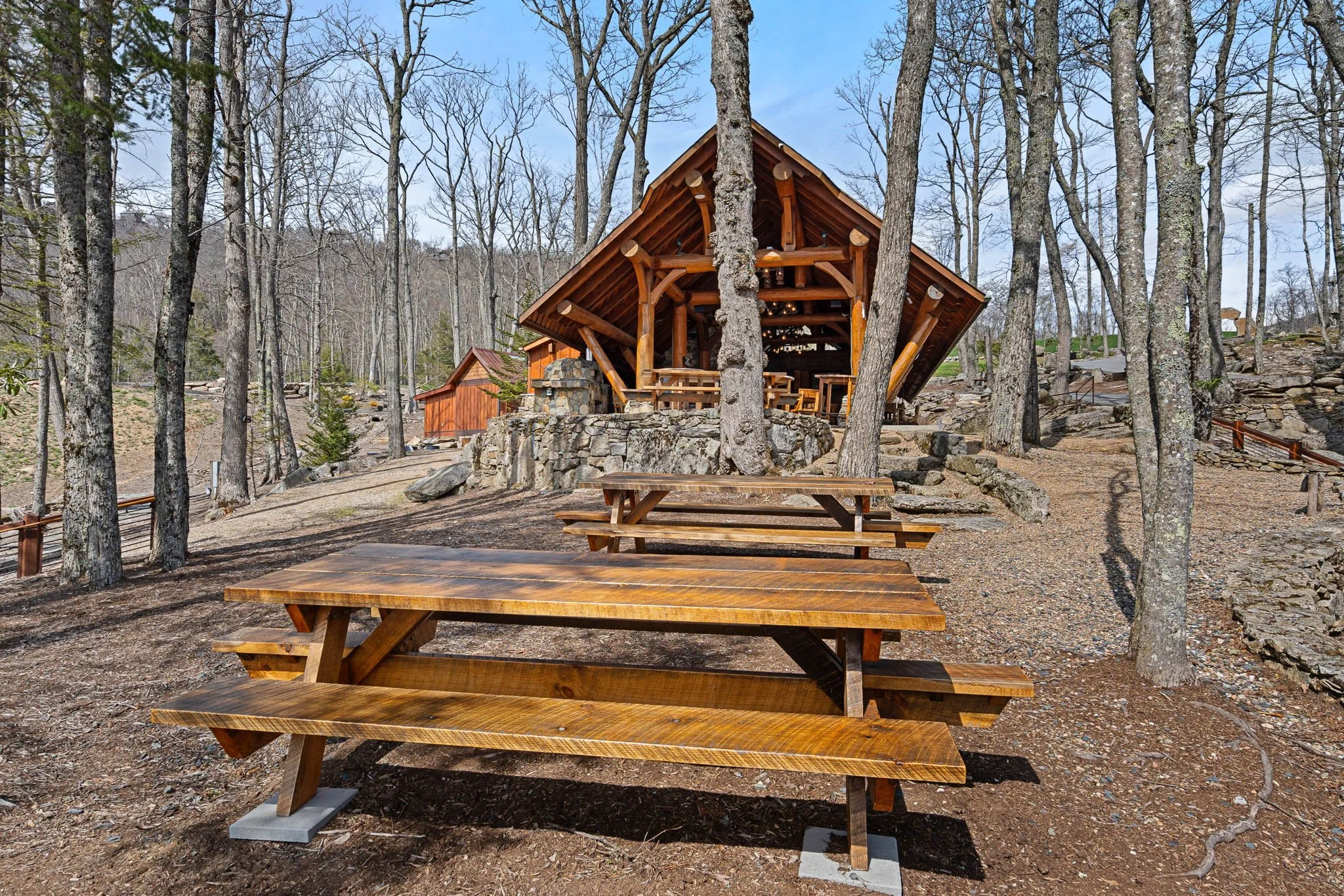 Wooden picnic tables in a forested area with trees and a wooden shelter in the background.