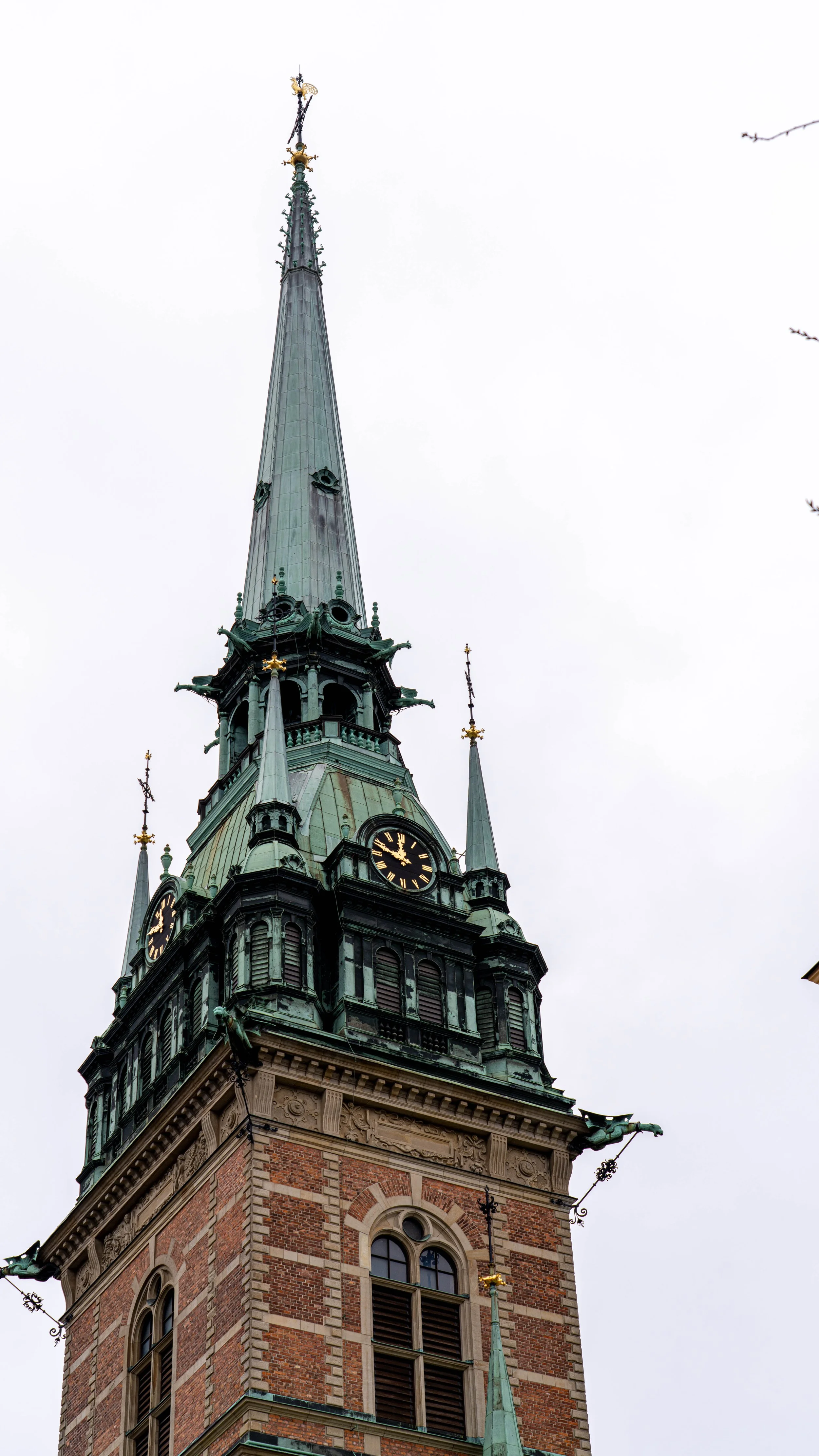 DSC00987.jpg