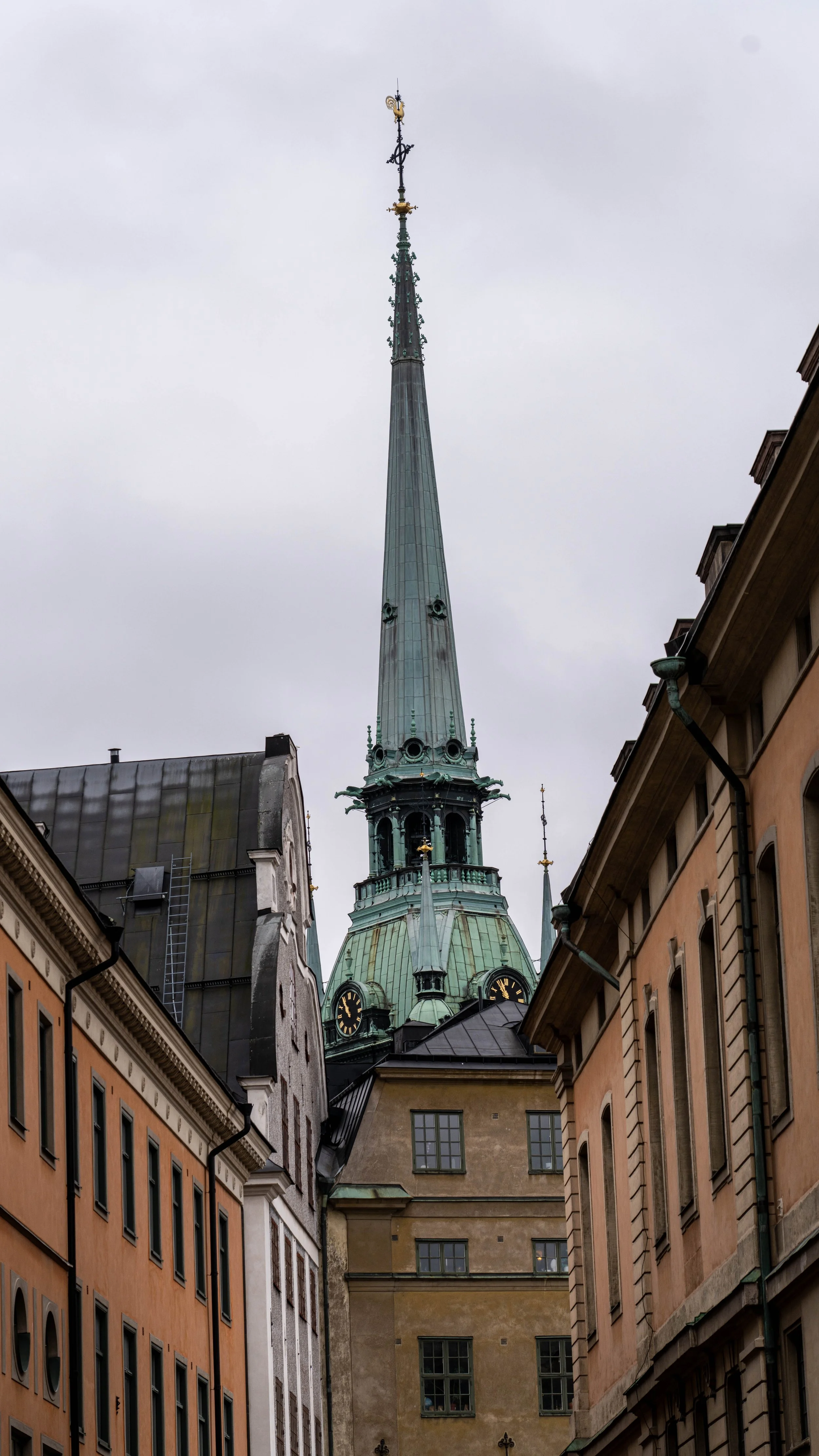 DSC00934.jpg