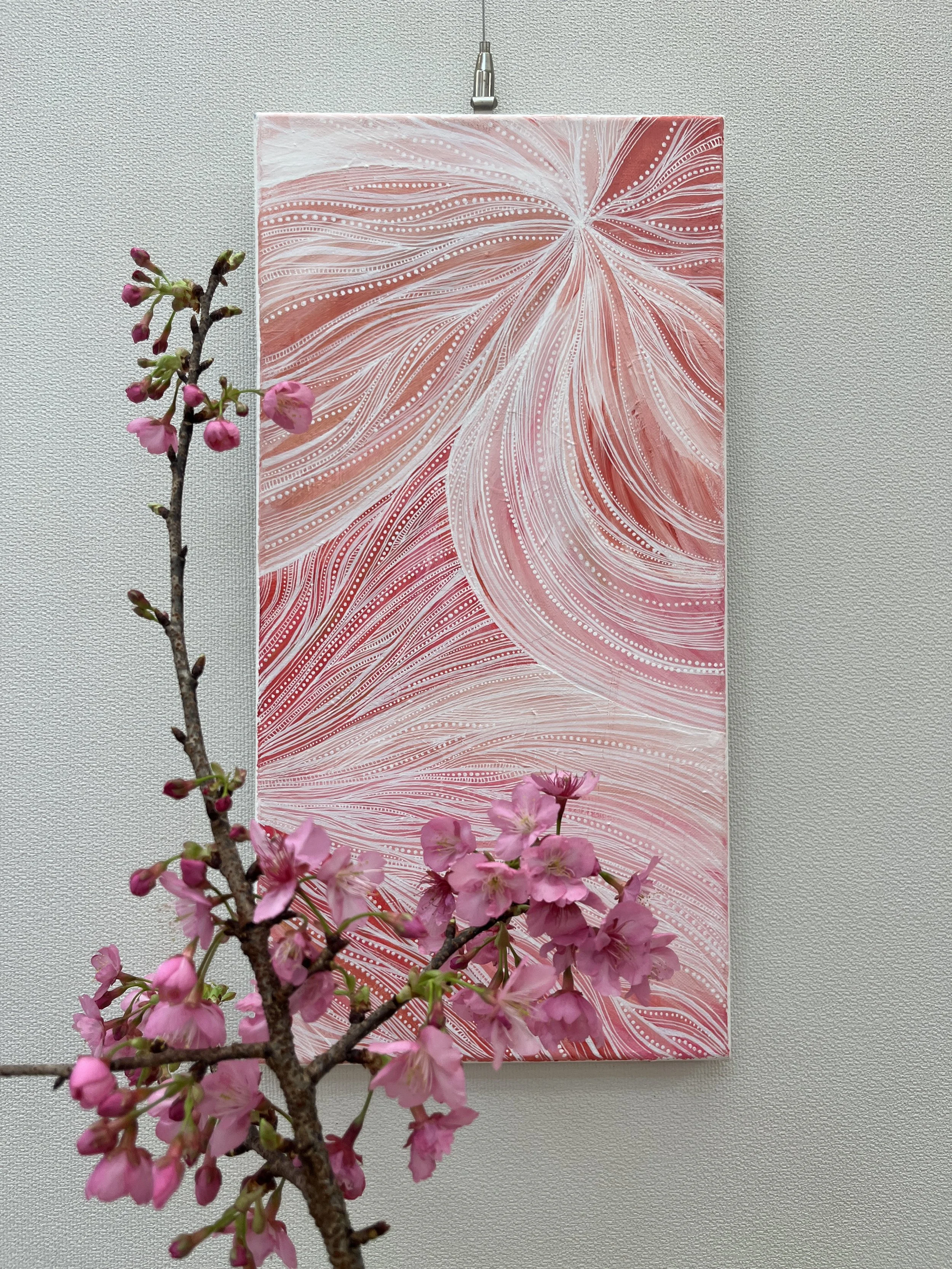 Kawazu Sakura