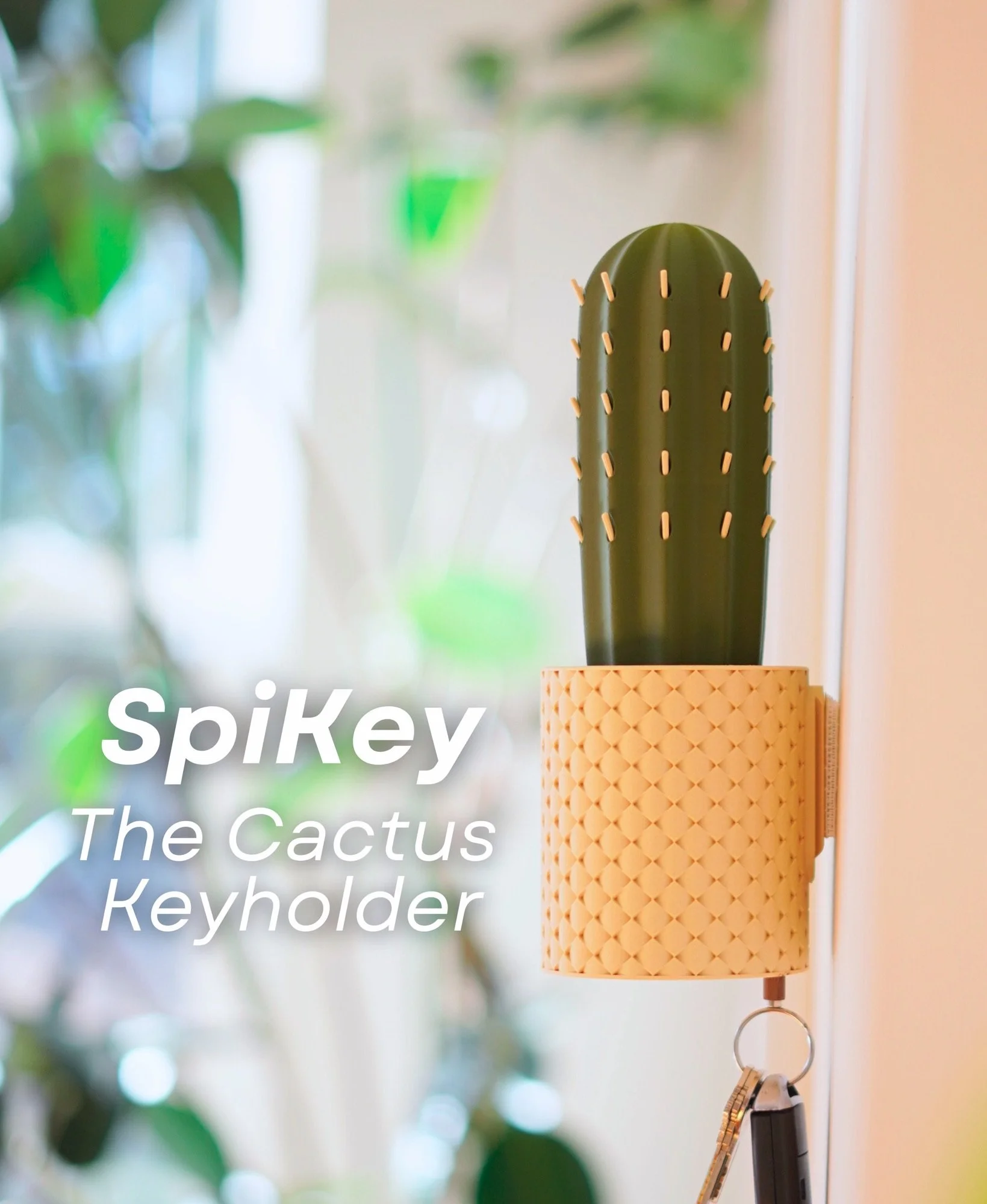 SpiKey Cactus Key Holder