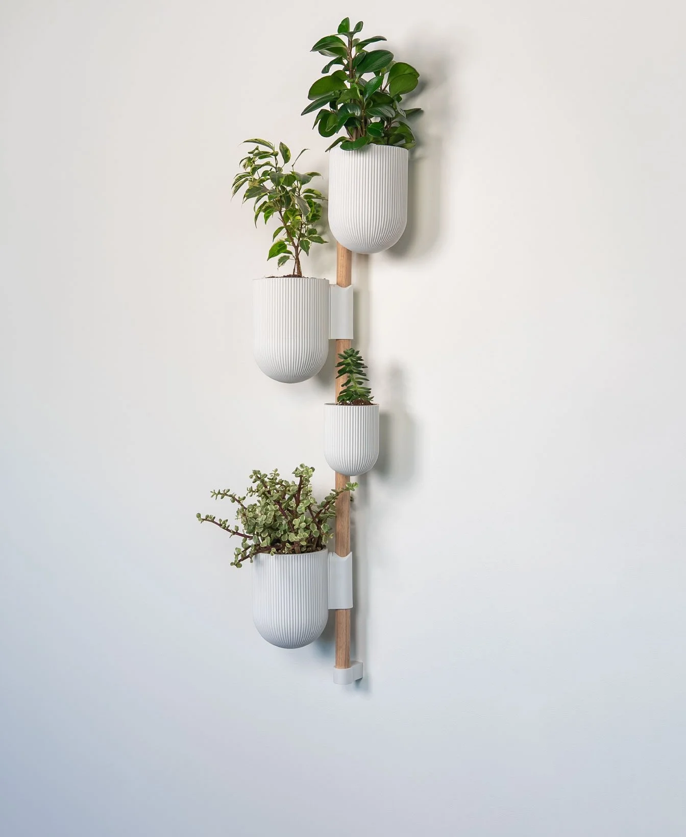 The Rail Starter Kit - Rail + 3 Planters