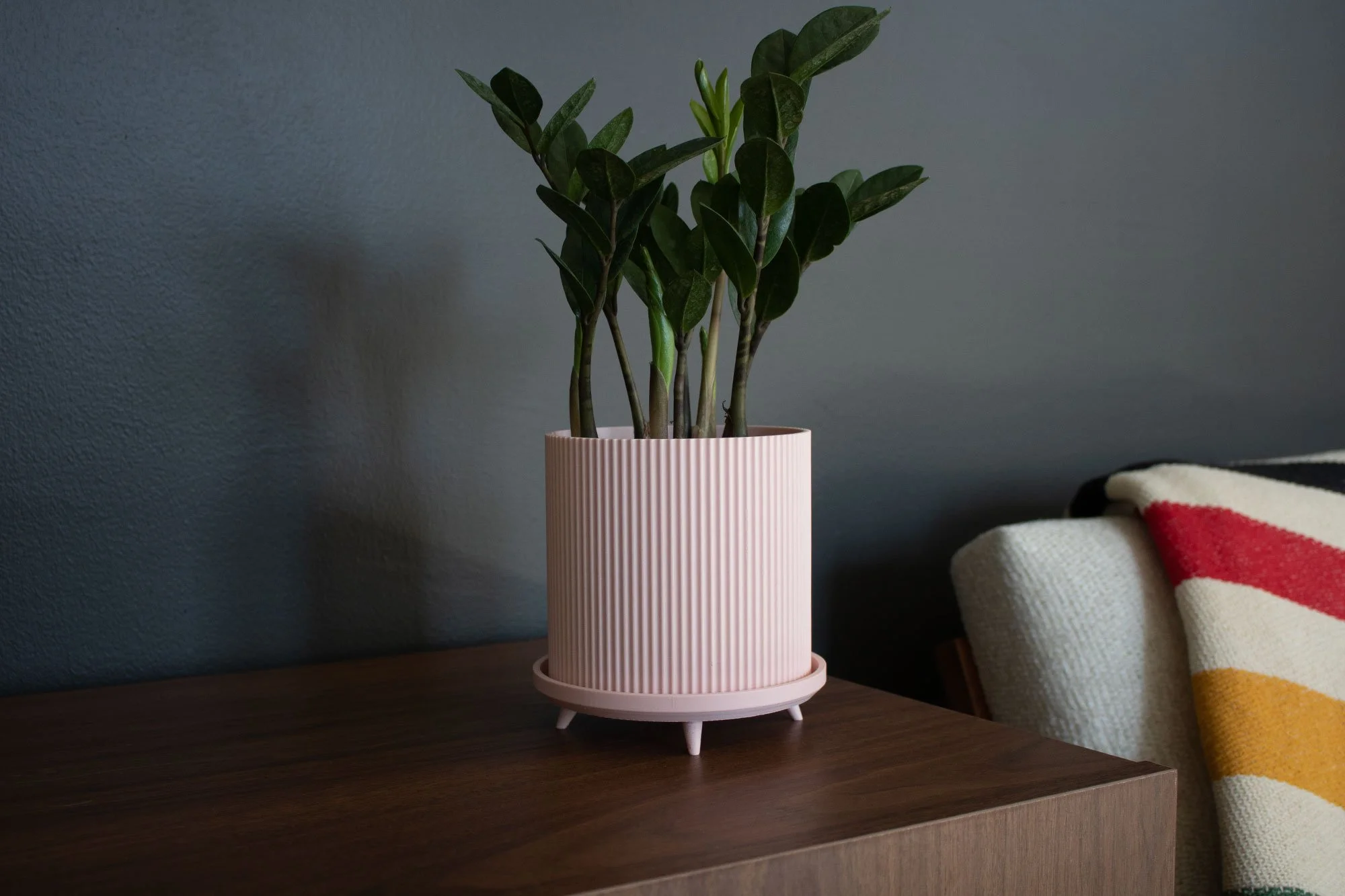 Lloyd-4in-Pink.JPG