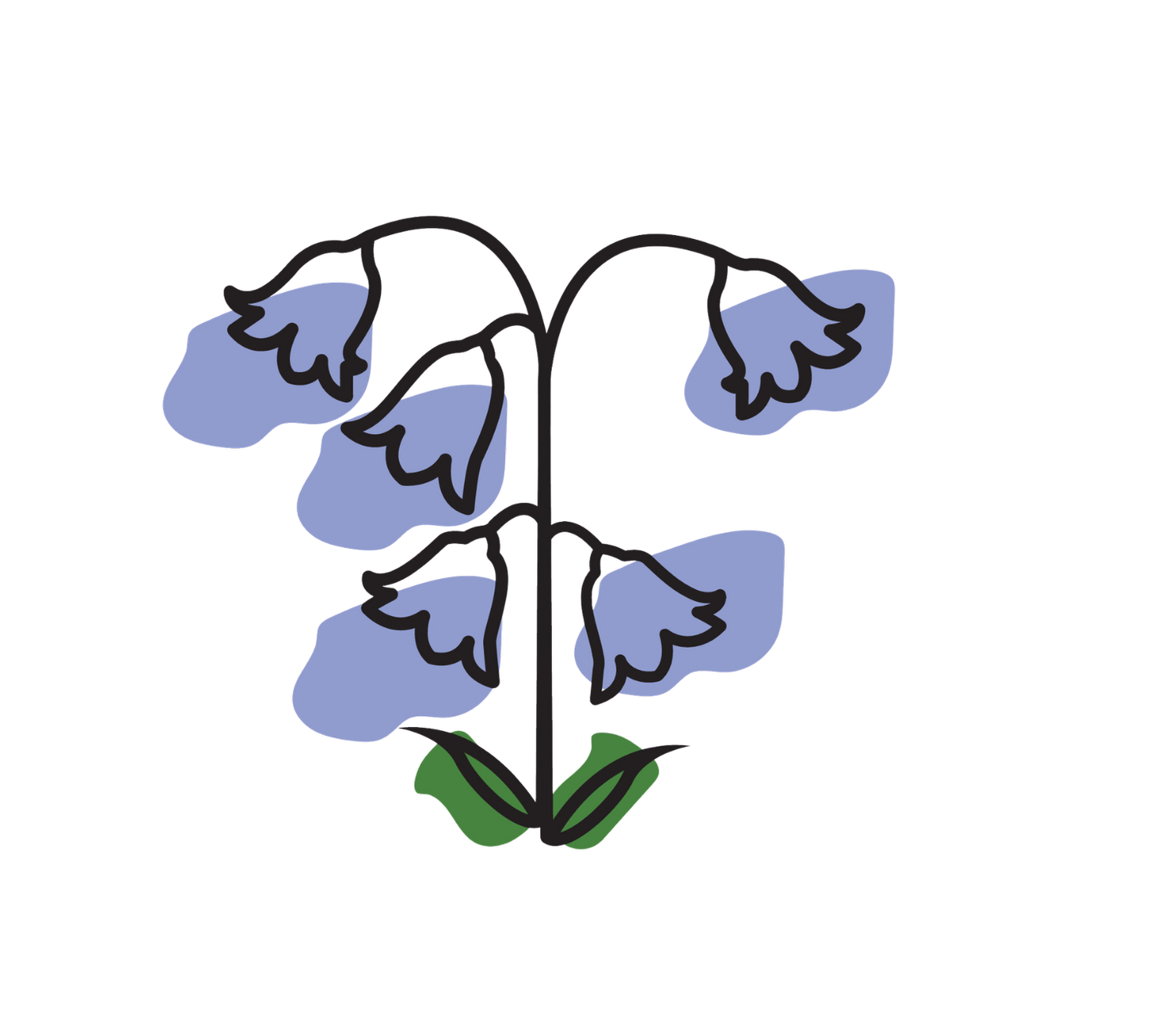Bluebell Productions