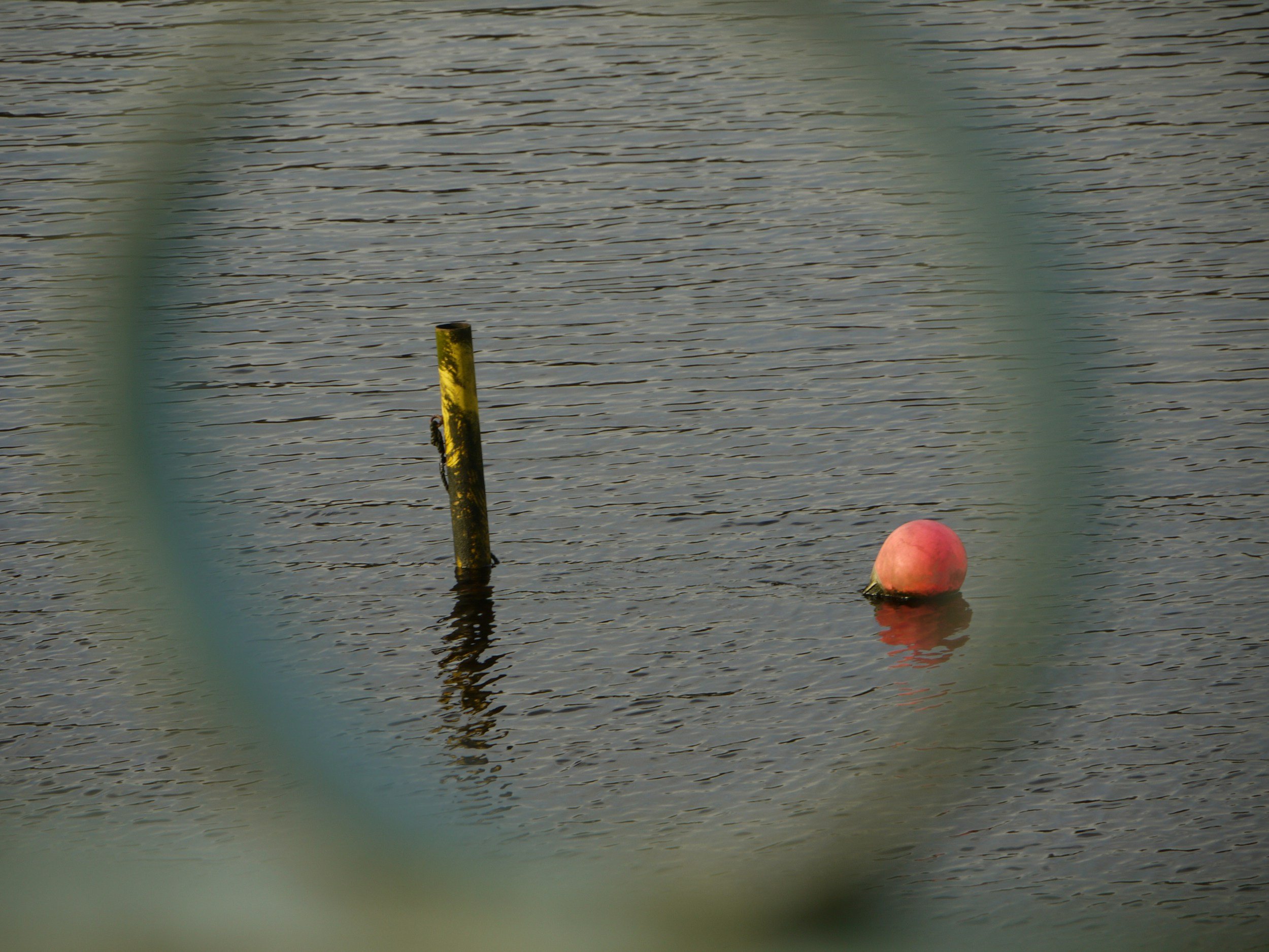 A body of water with a yellow and black pole and a pink buoy floating on the surface.