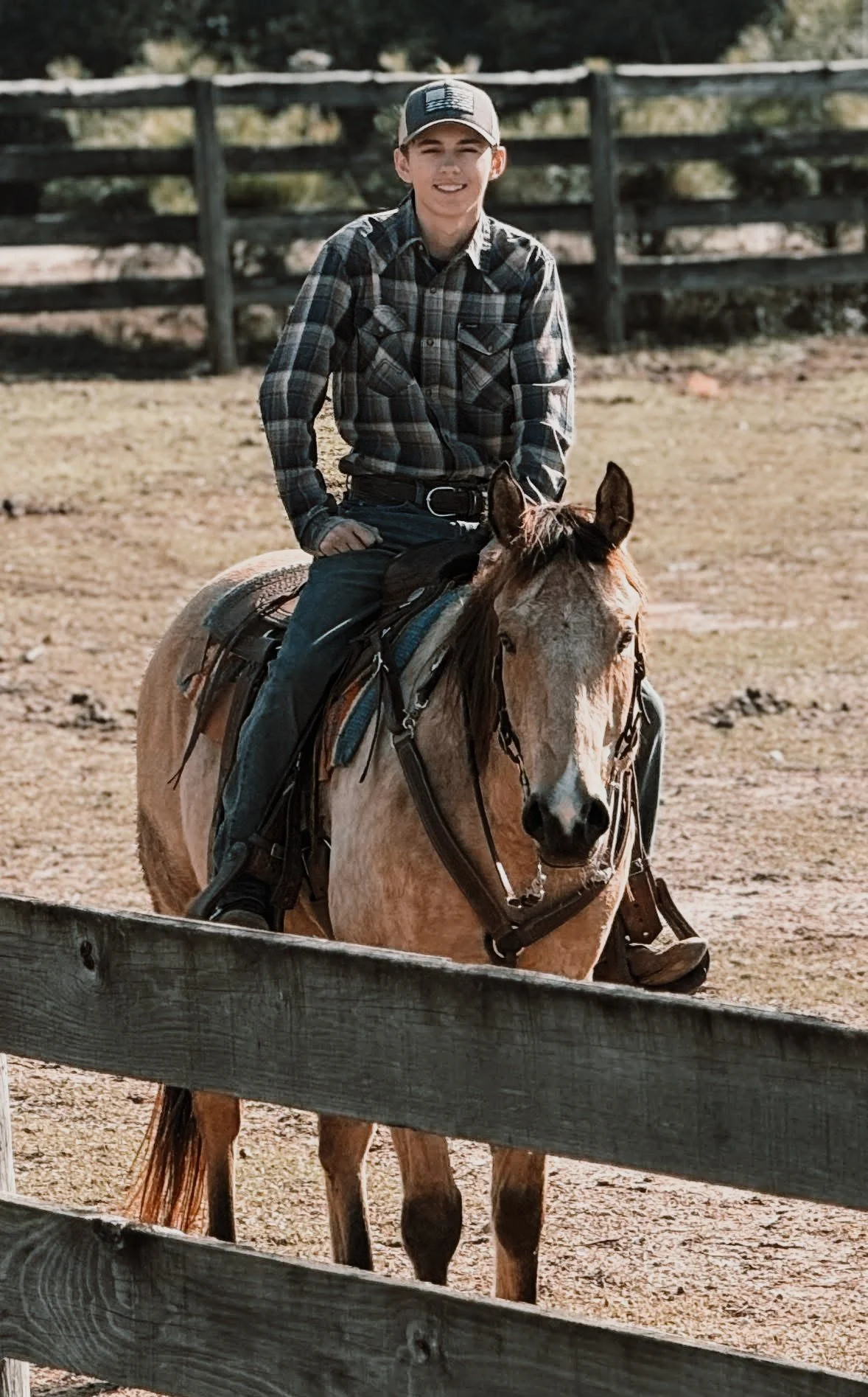 Horse Training & Troubleshooting