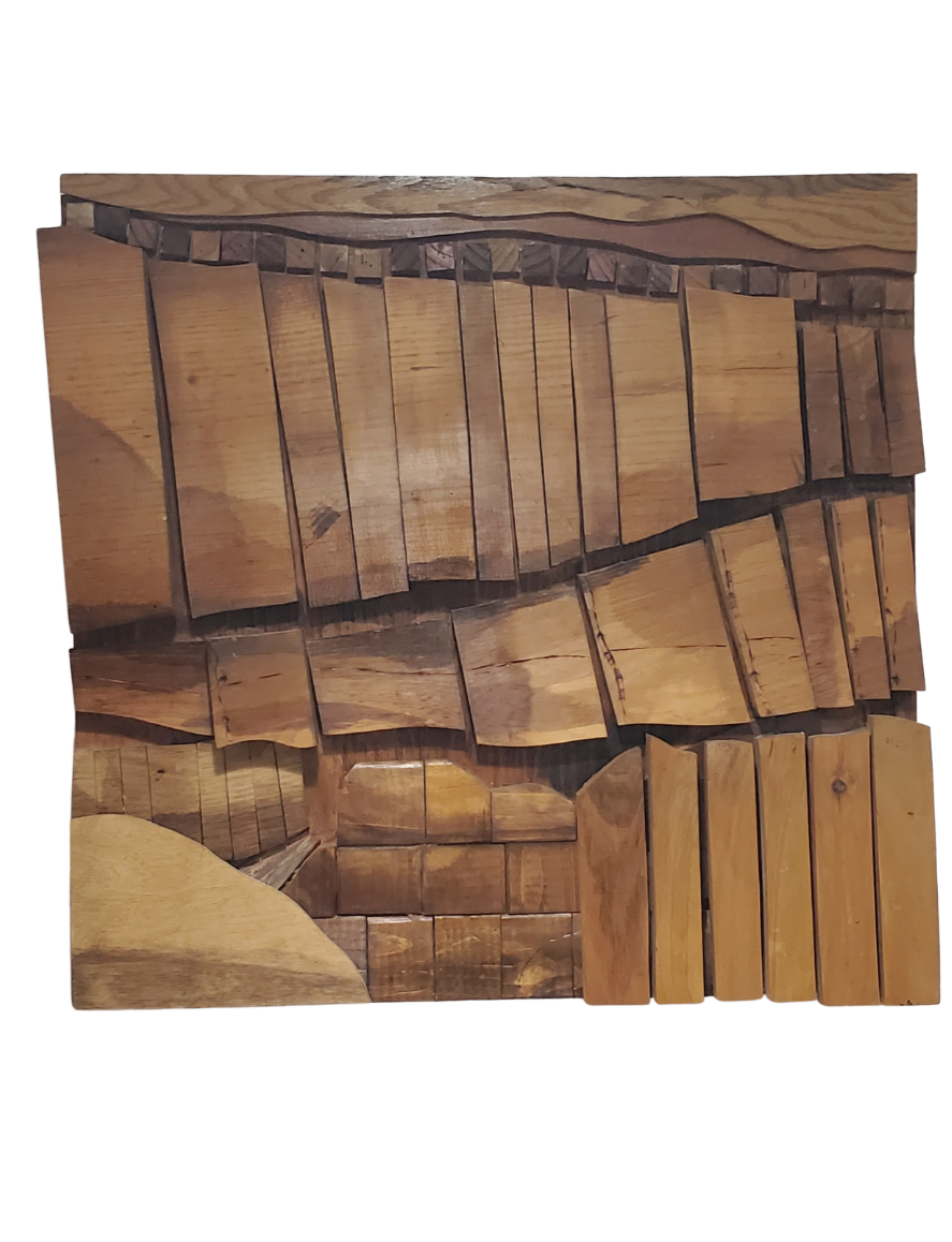 A collection of small, rectangular wooden pieces arranged on a white surface, with a variety of natural wood grain patterns and shades.