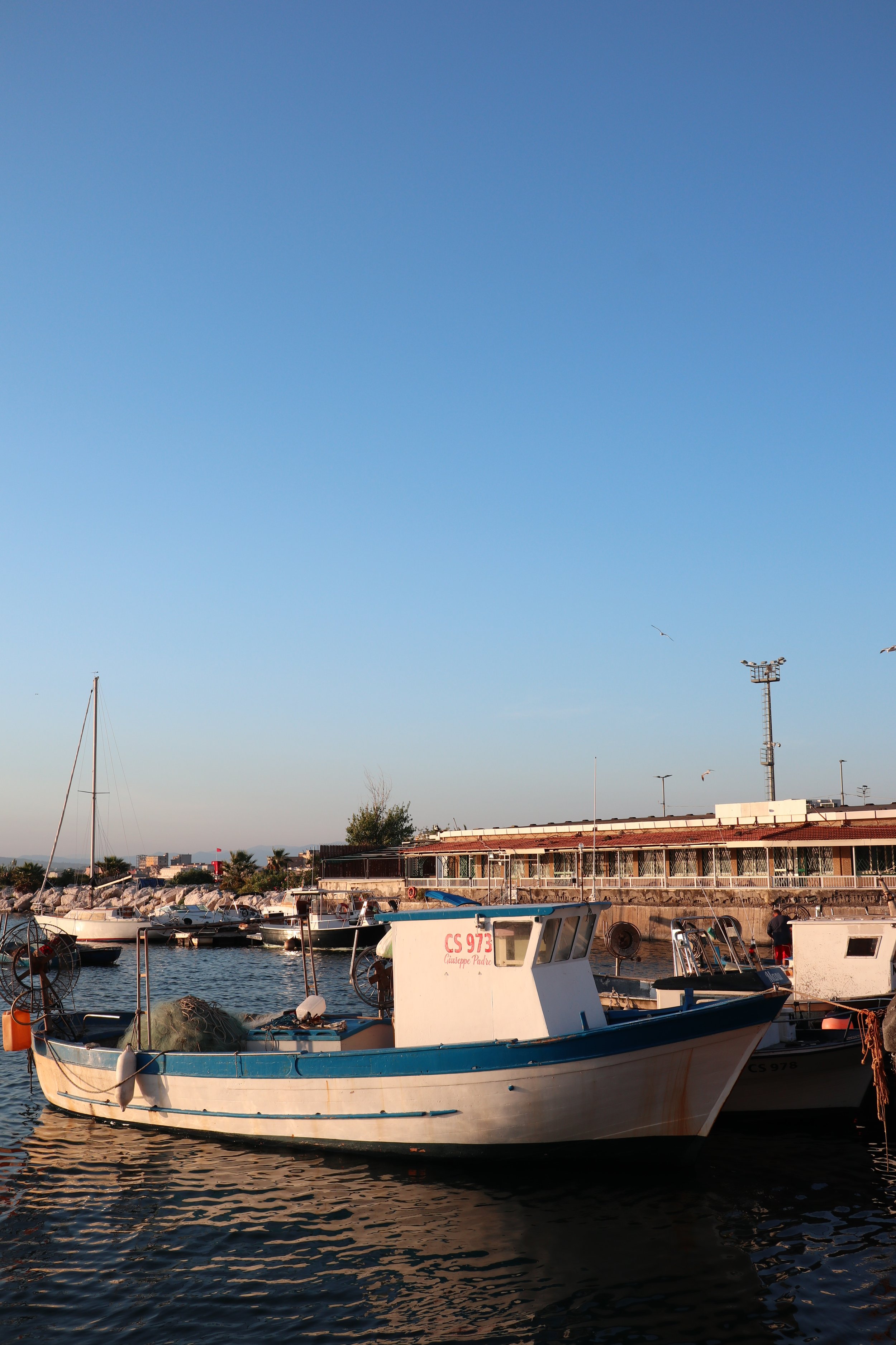 Boats docked at a marina with a building and a power pole in the background, under a clear blue sky.