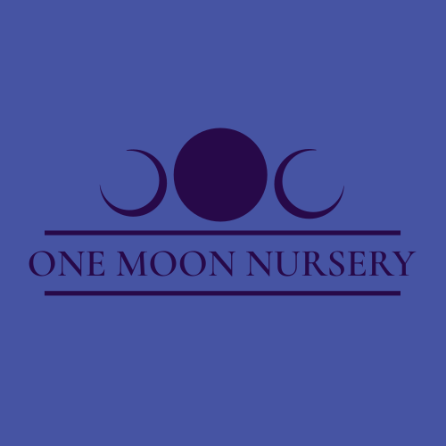 One Moon Nursery 