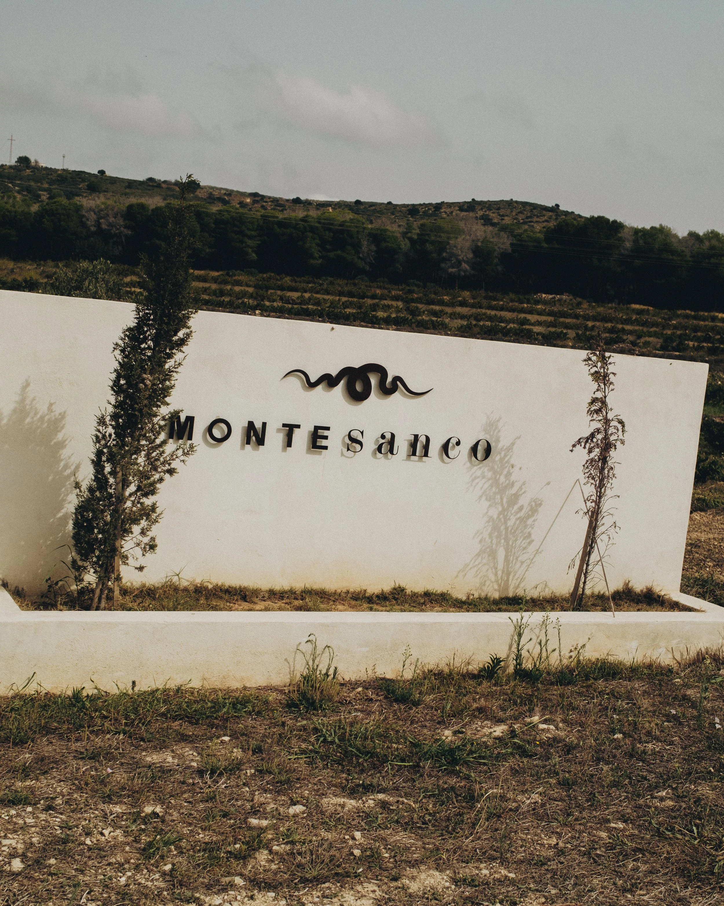 Montesanco