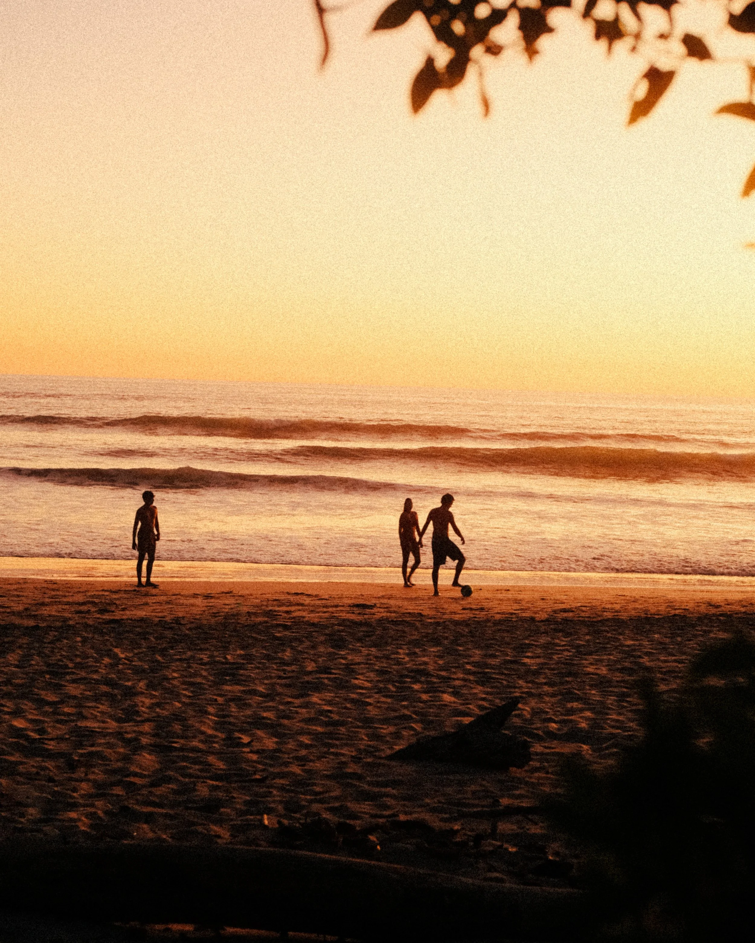 Lucero Surf Hotel