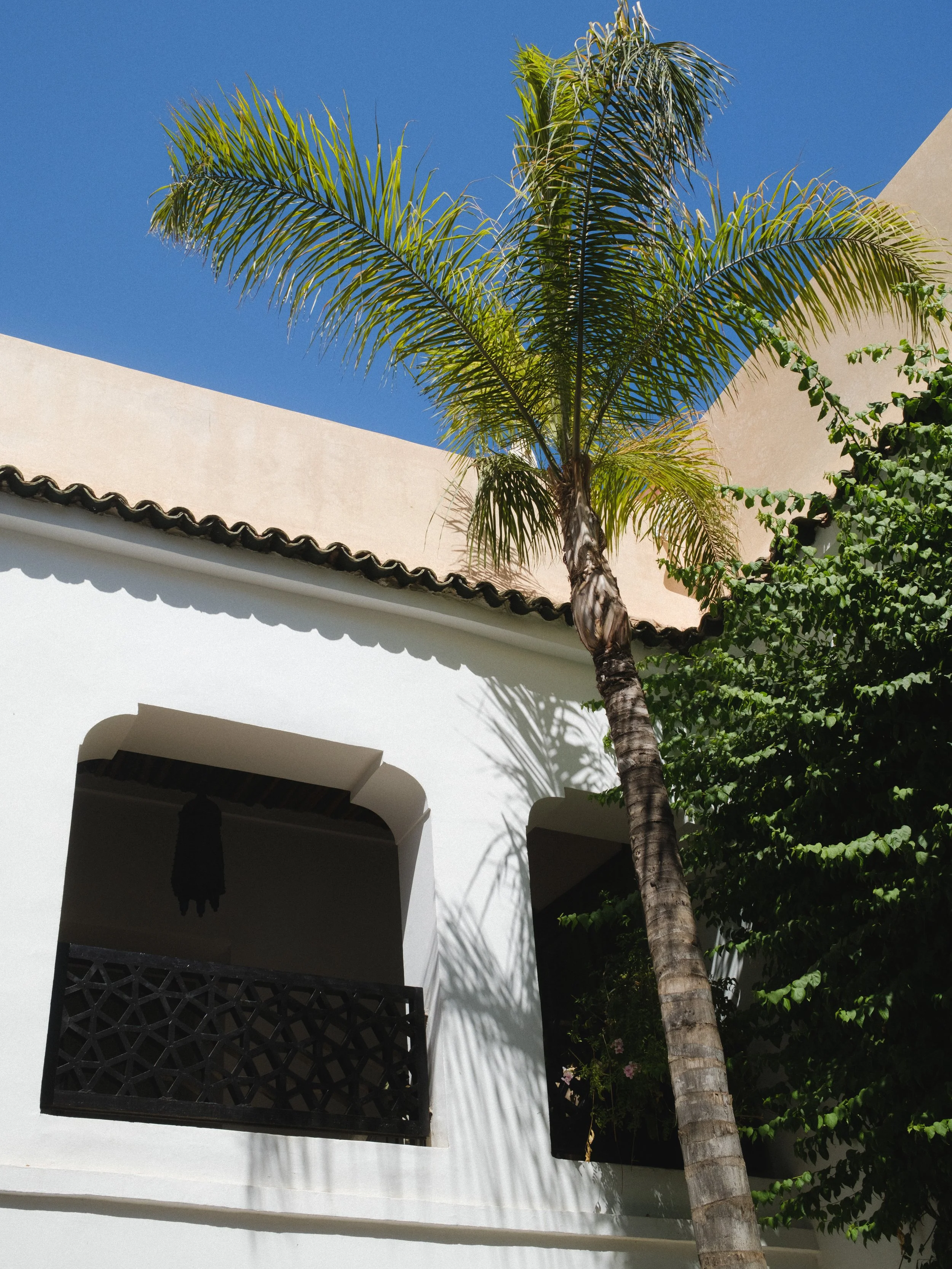Riad P'tit Habibi