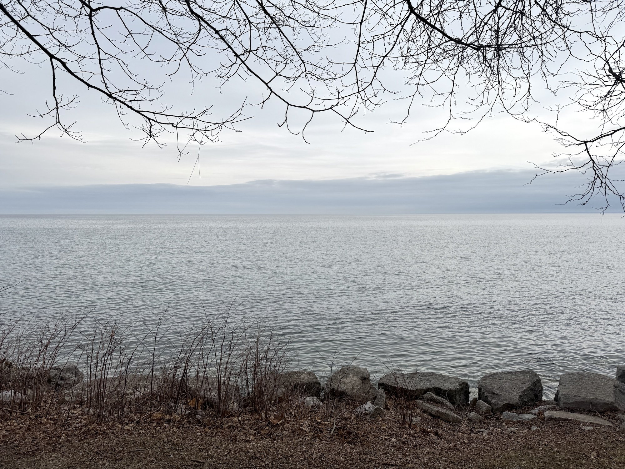 Nobody Told Spring