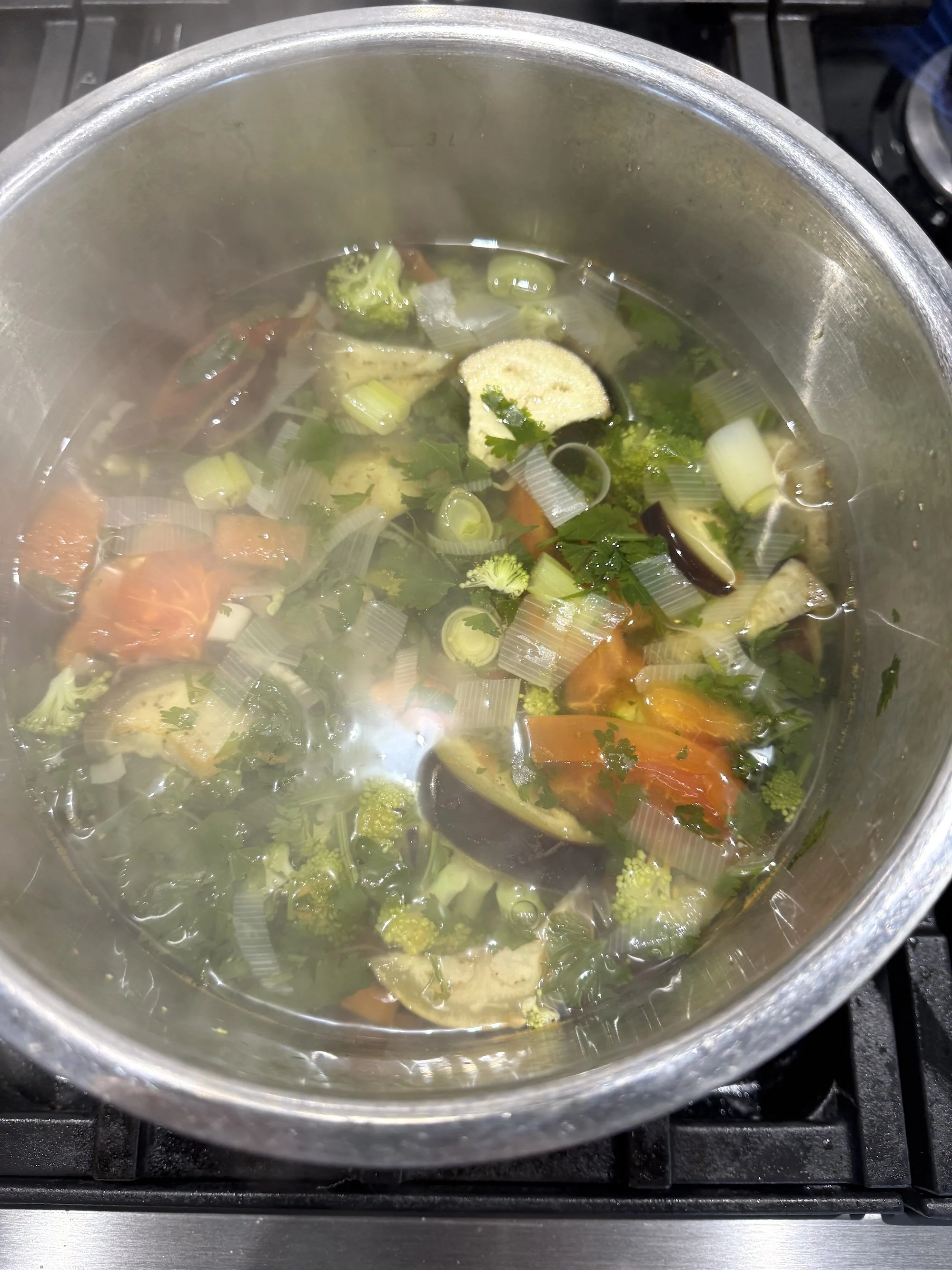 Soup in a pot