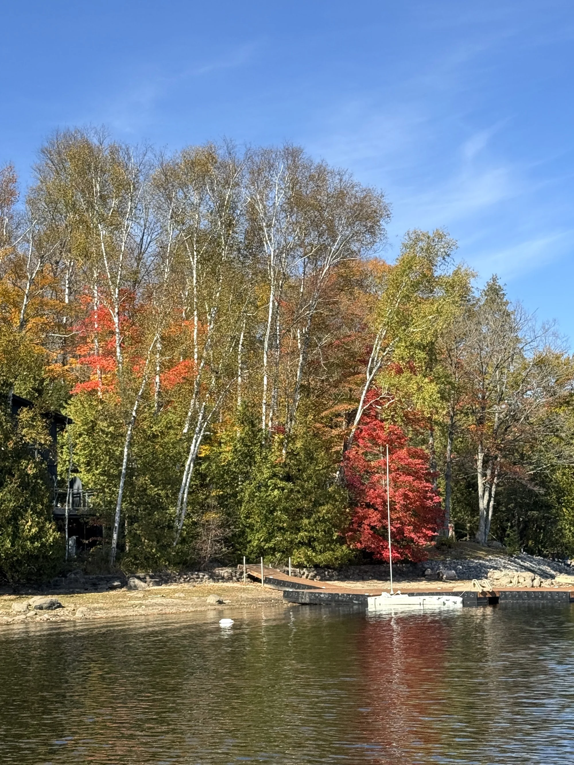 A lake at the cottage