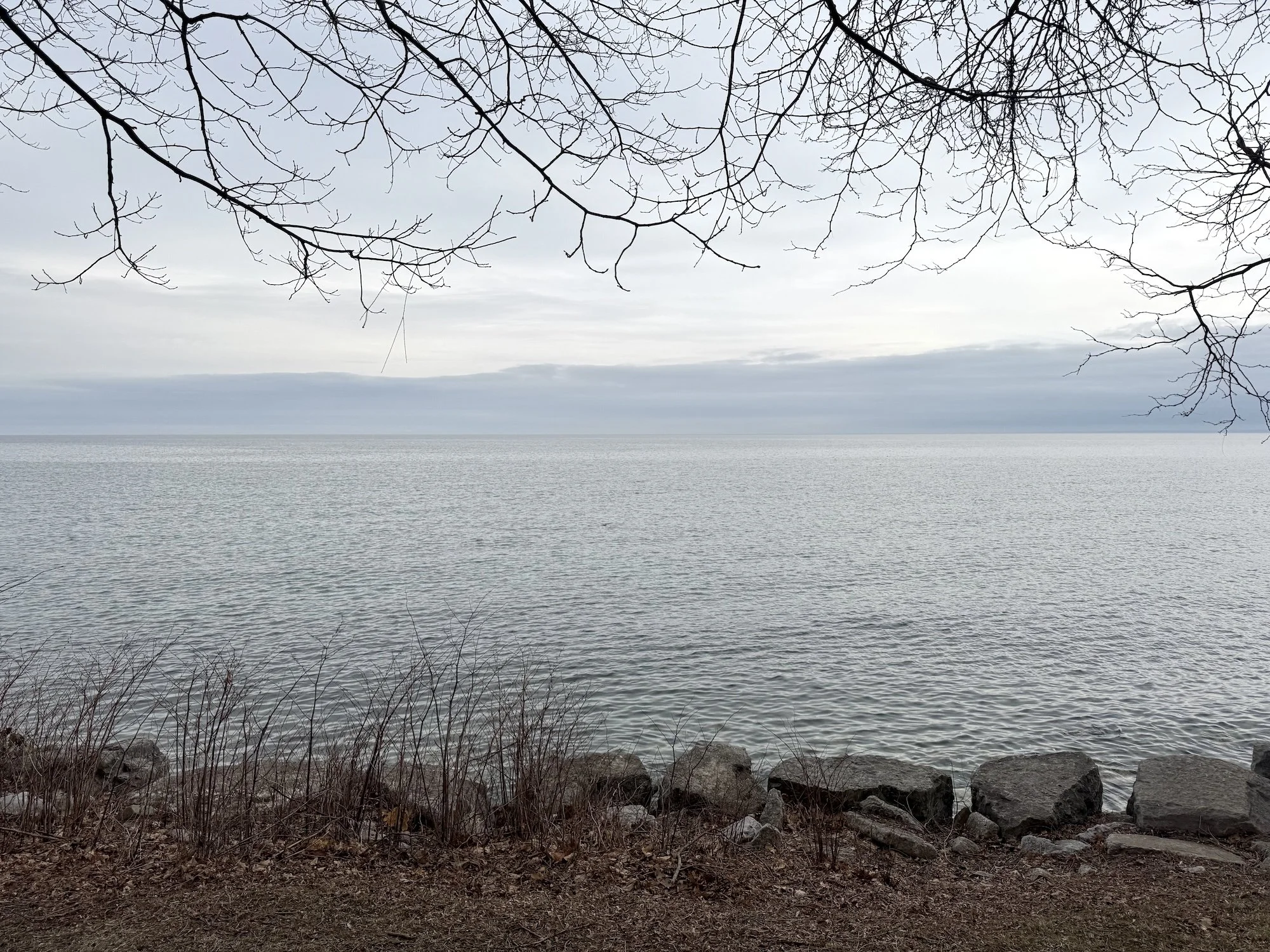 Spring at the lake