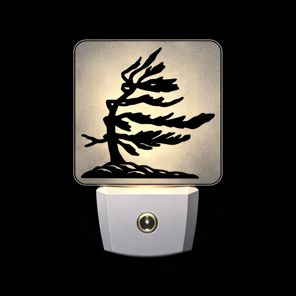 IMG_5179.PNG