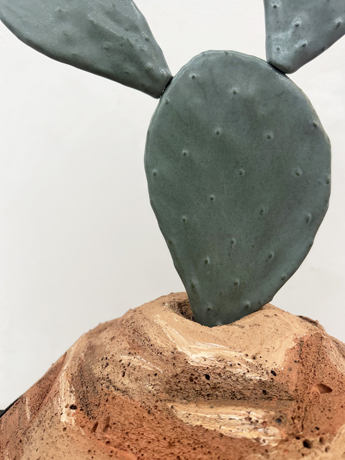 Website-Cactus.jpg