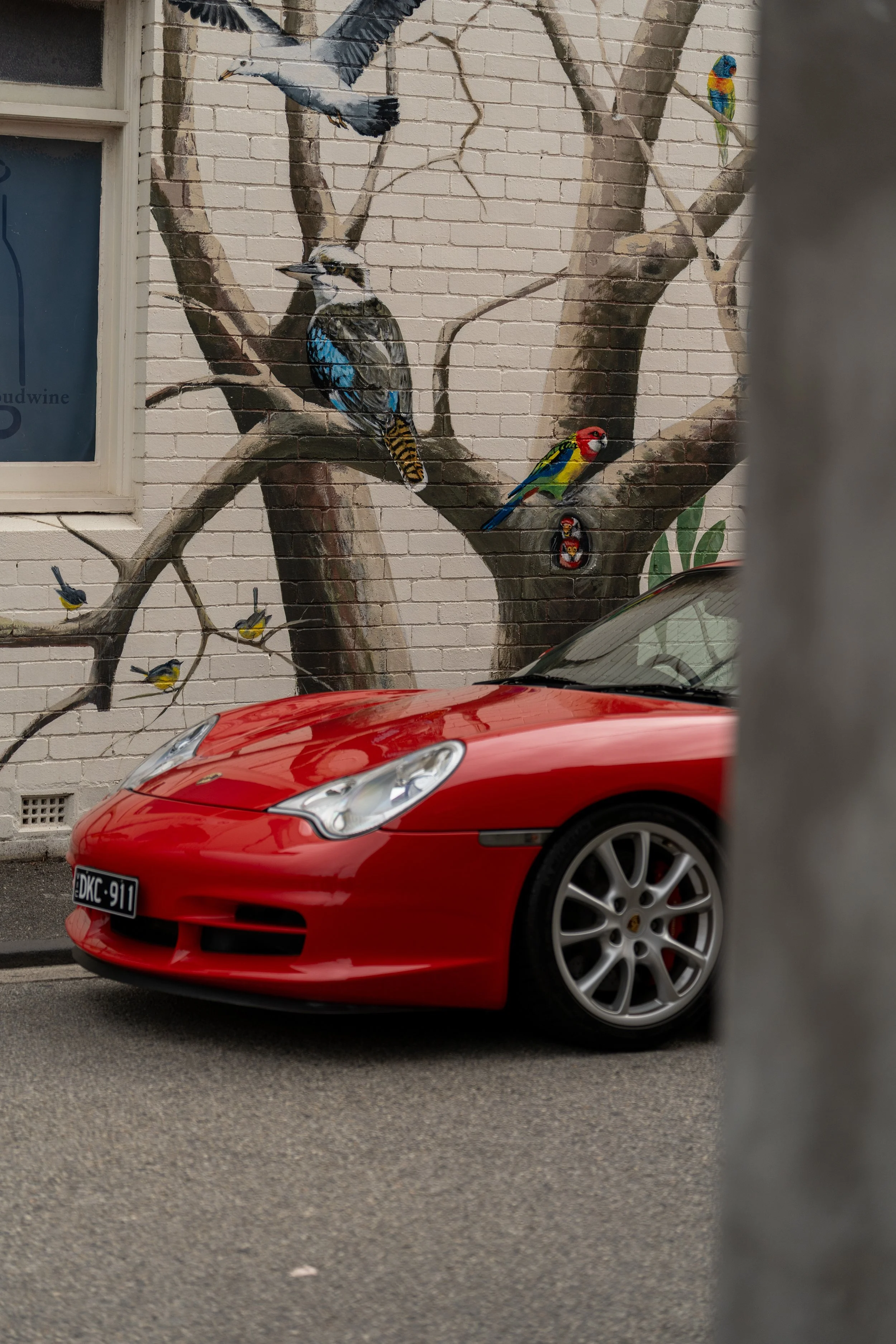 Street scene with a red Porsche sports car in foreground, digital mural of various colorful birds on a brick wall in the background.