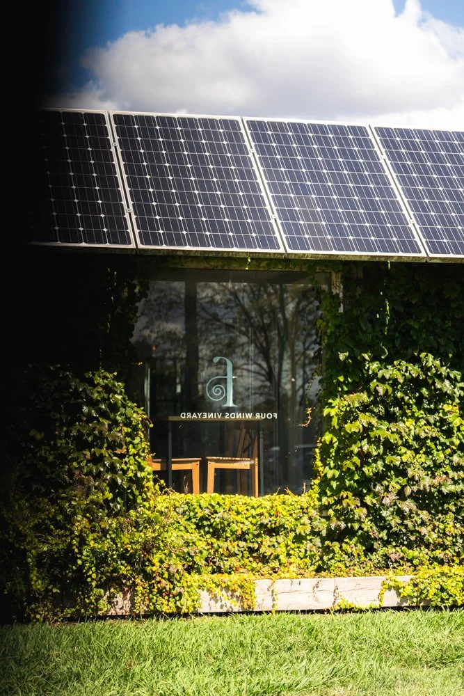 Solar panels on a roof above a window with greenery and a glass door with a sign reading 'Four Winds Vineyard'.