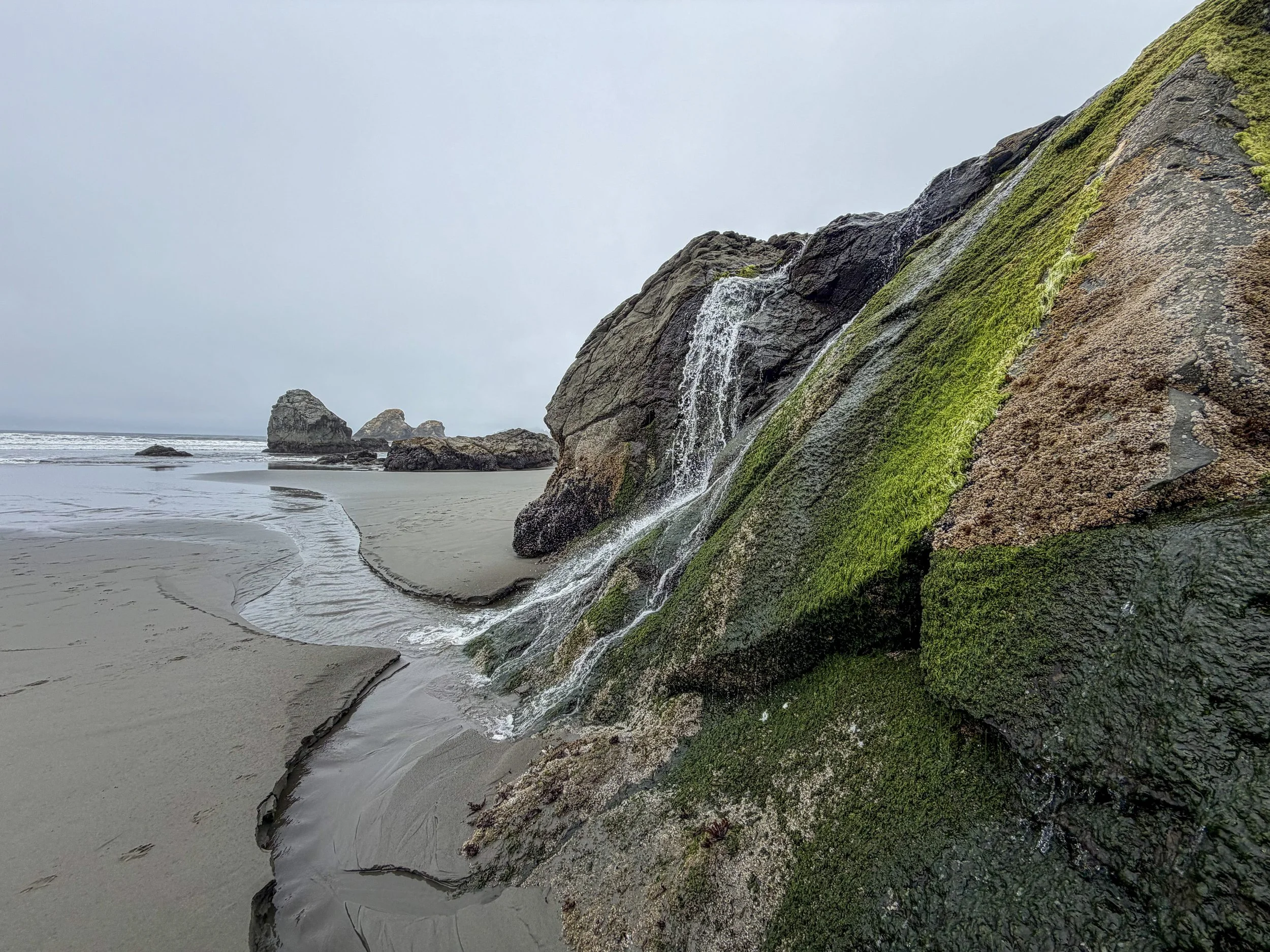 Where the Water Finds the Sea