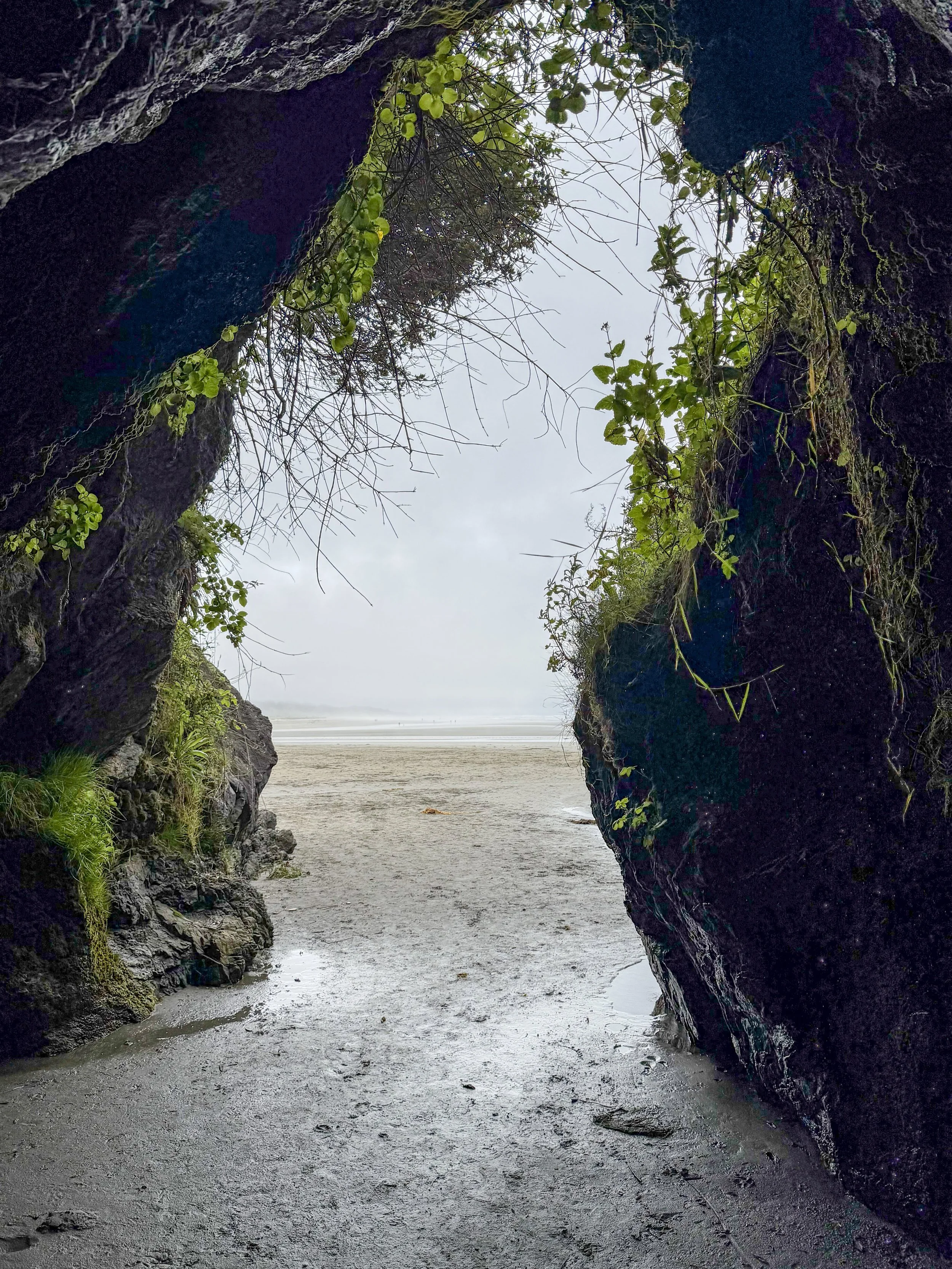 The Portal